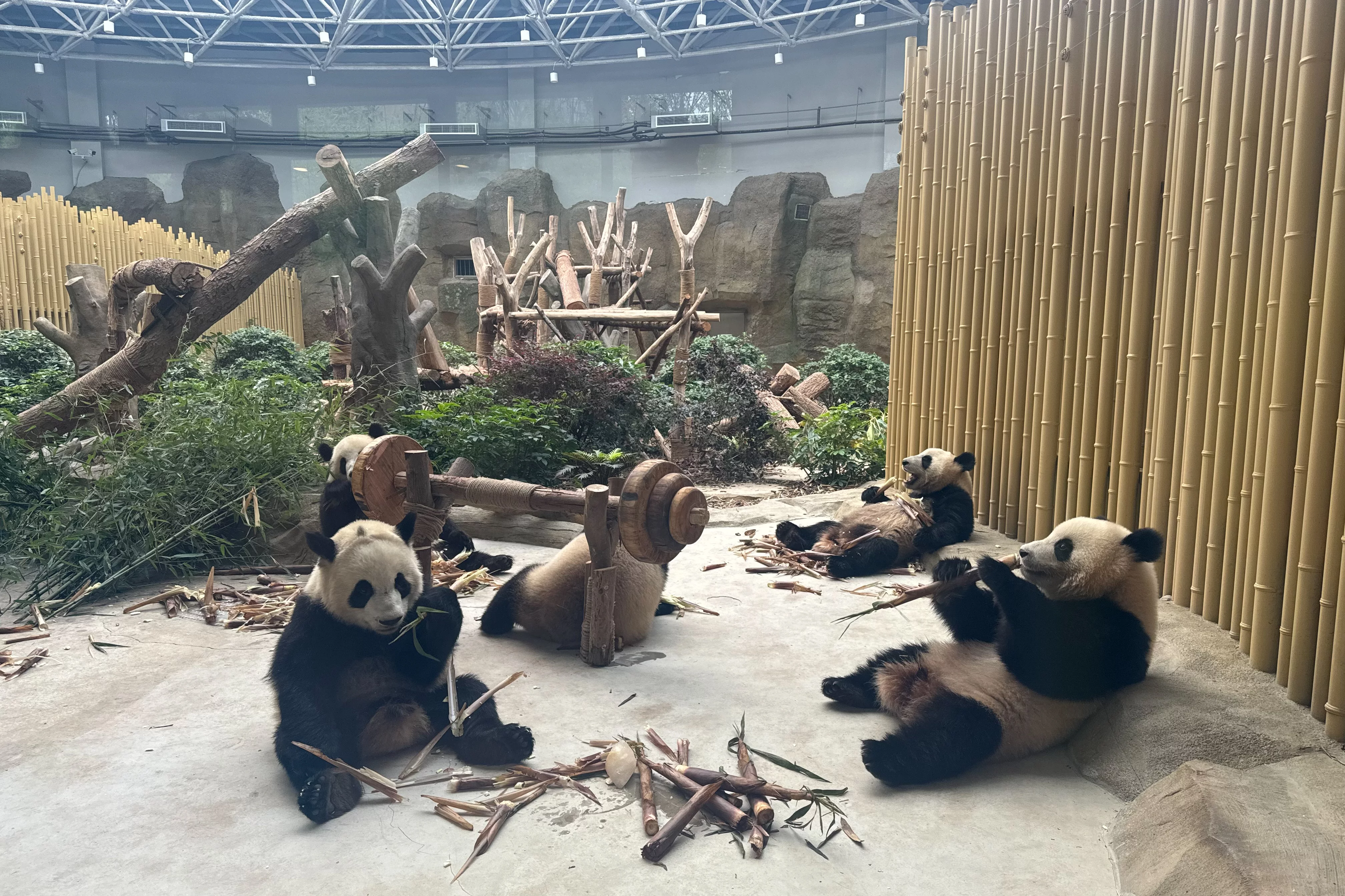 Chengdu Research Base of Giant Panda Breeding
