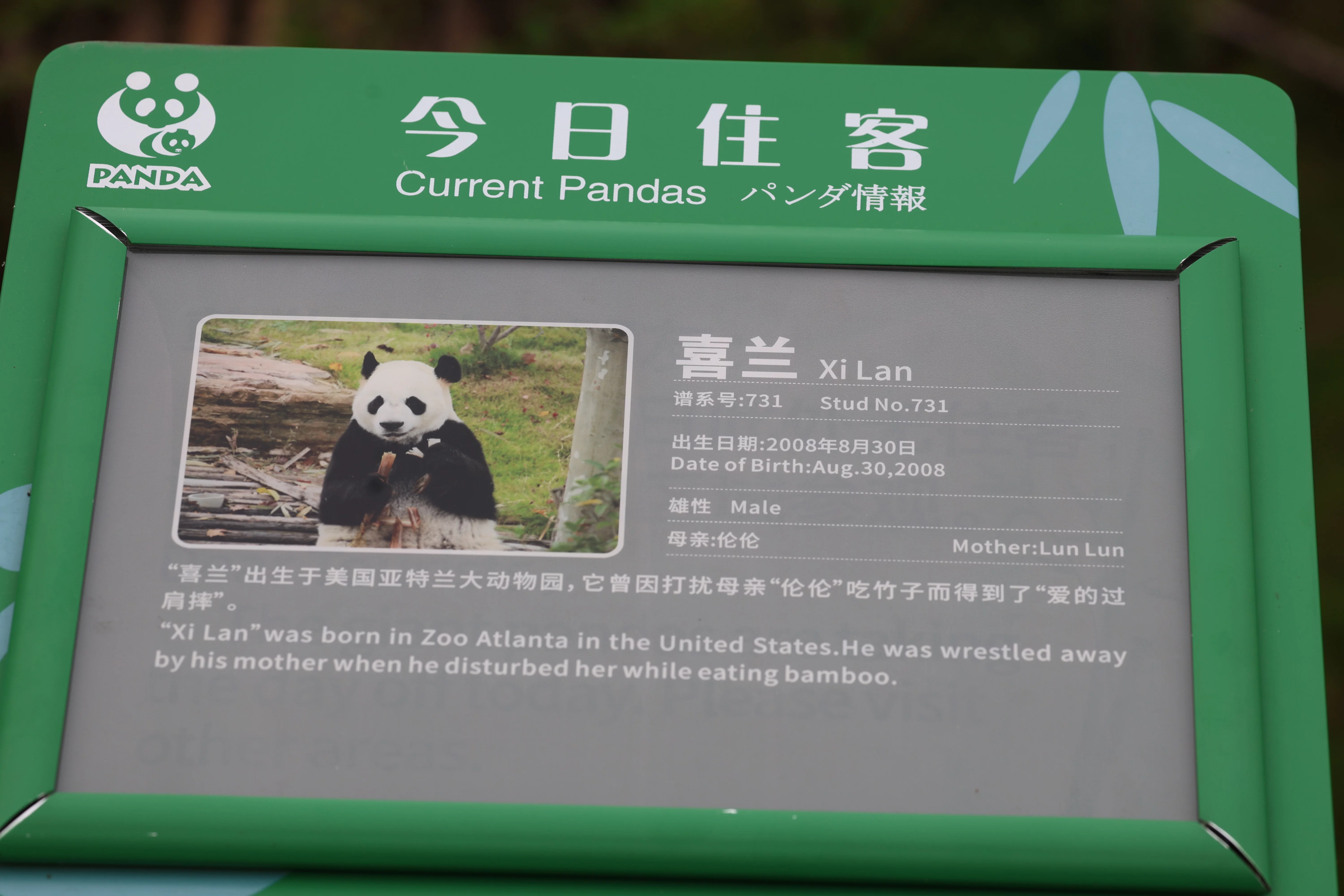 Chengdu Research Base of Giant Panda Breeding