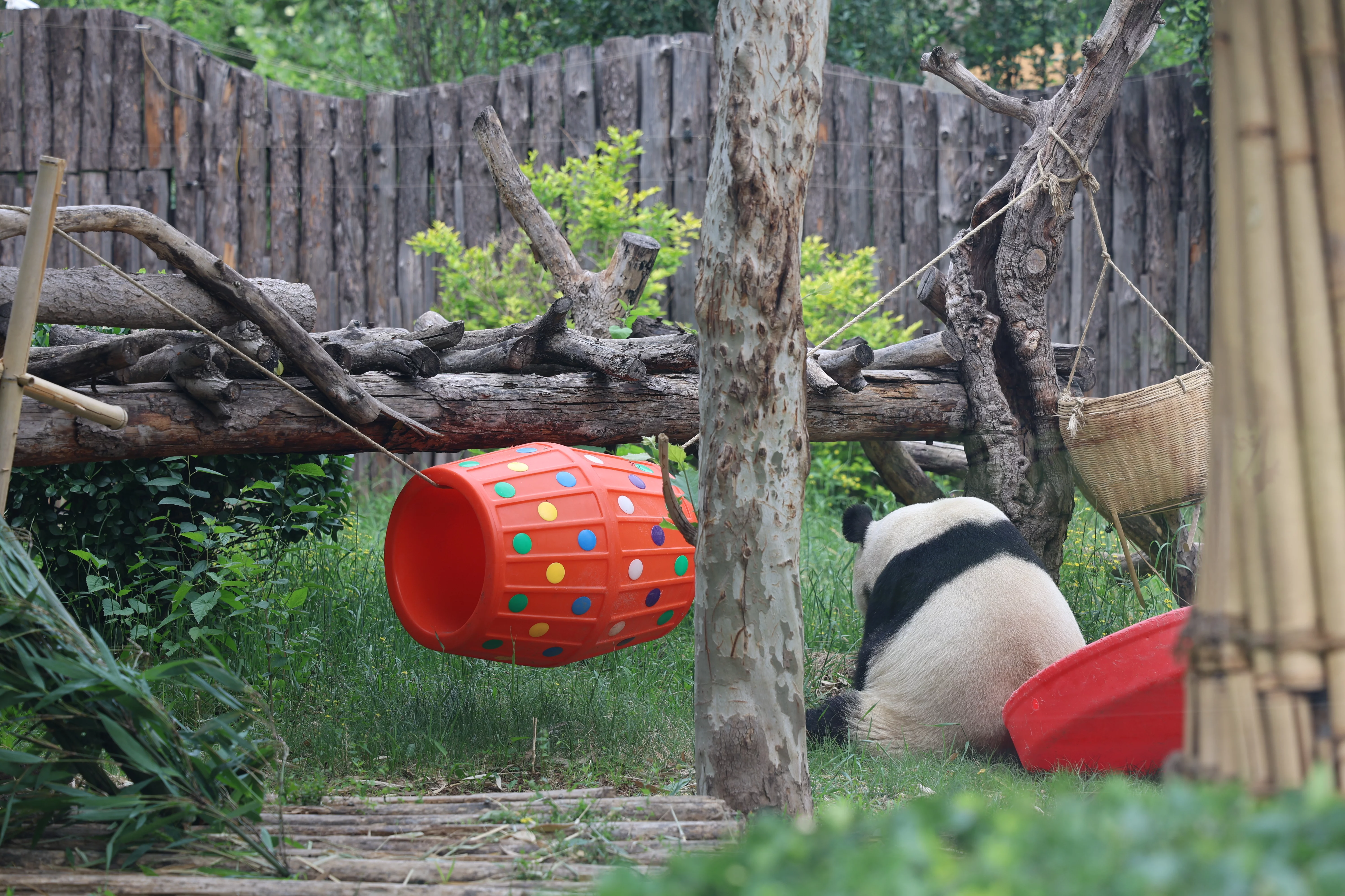 Tangshan Zoo