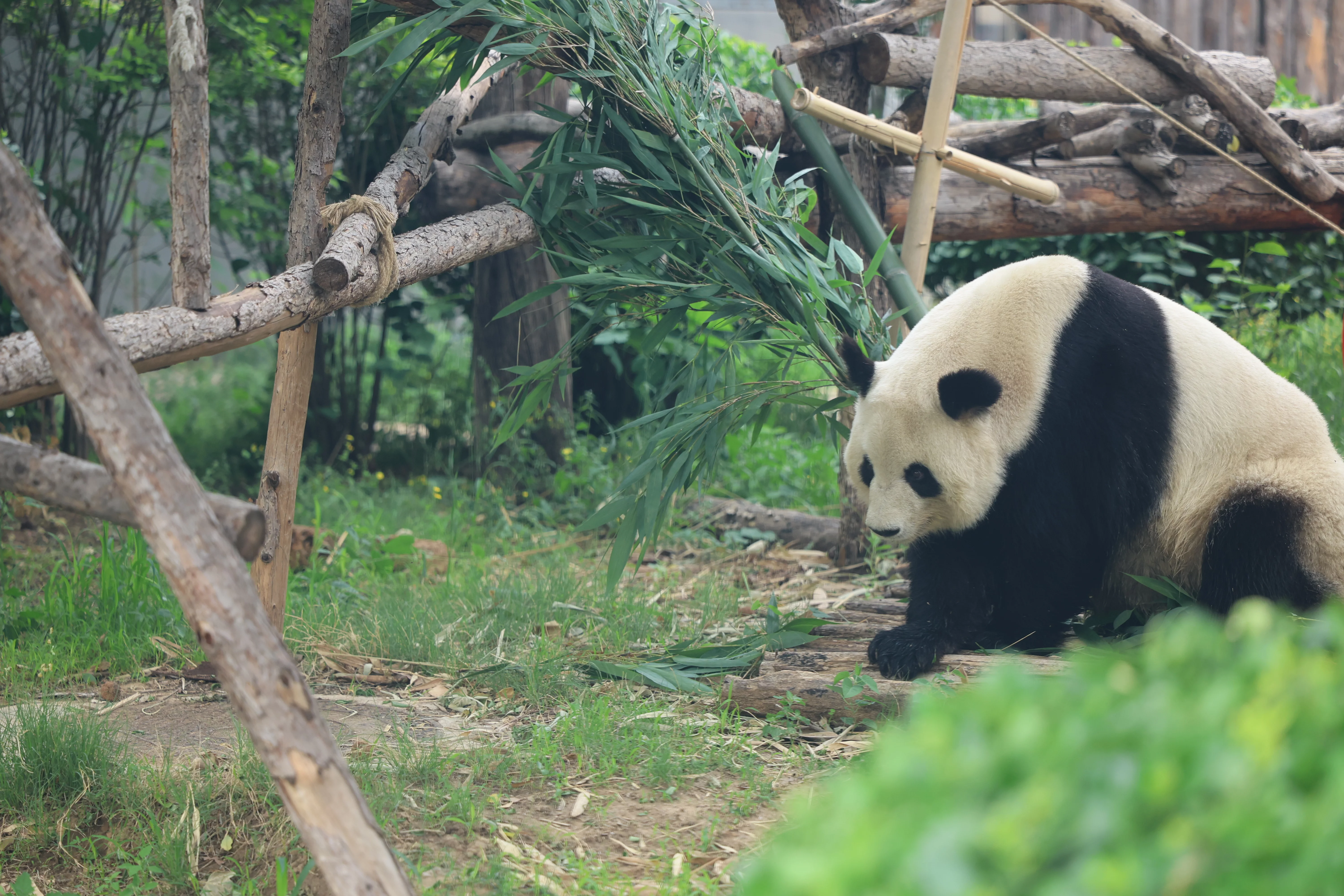 Tangshan Zoo