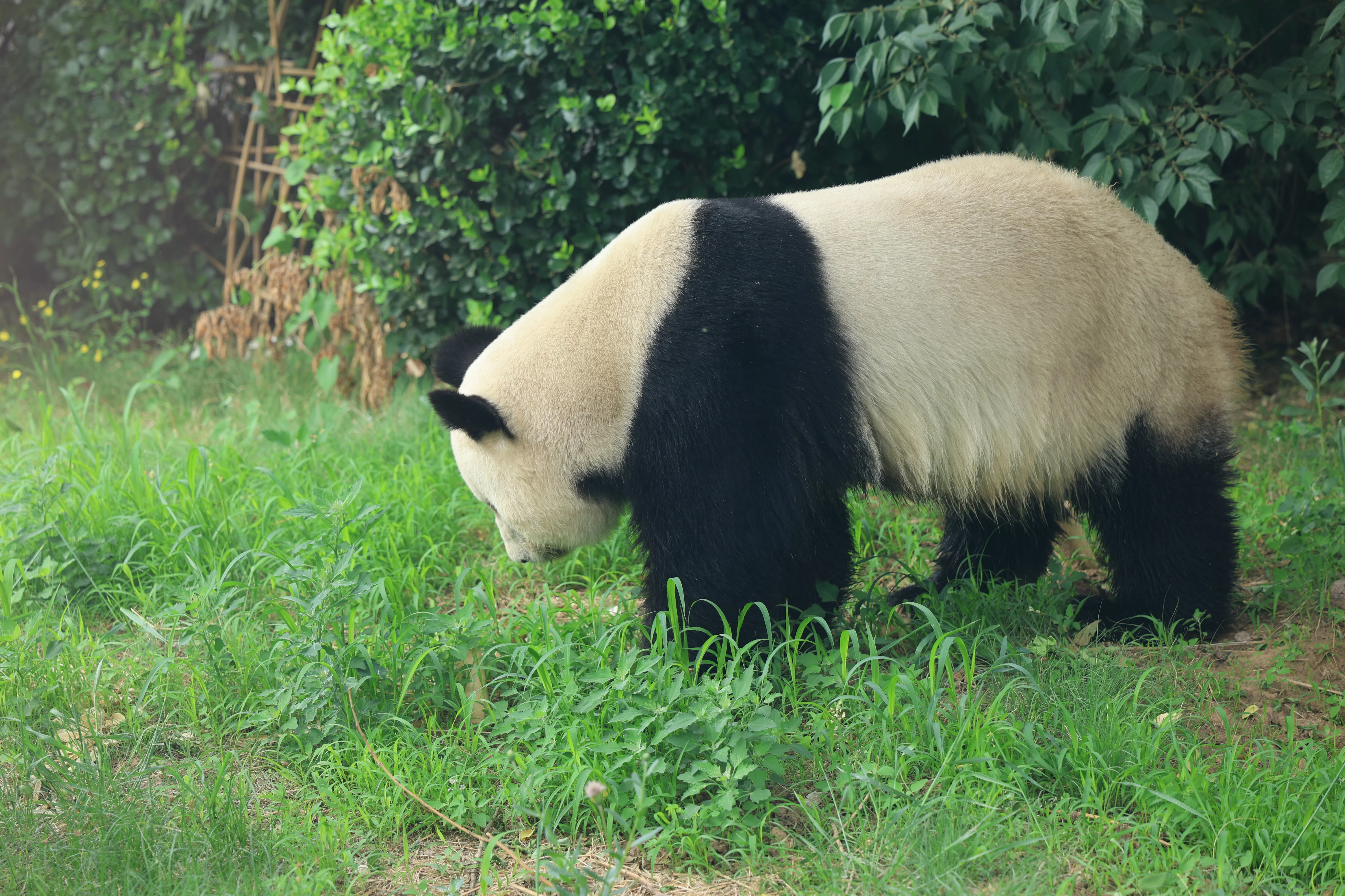 Tangshan Zoo