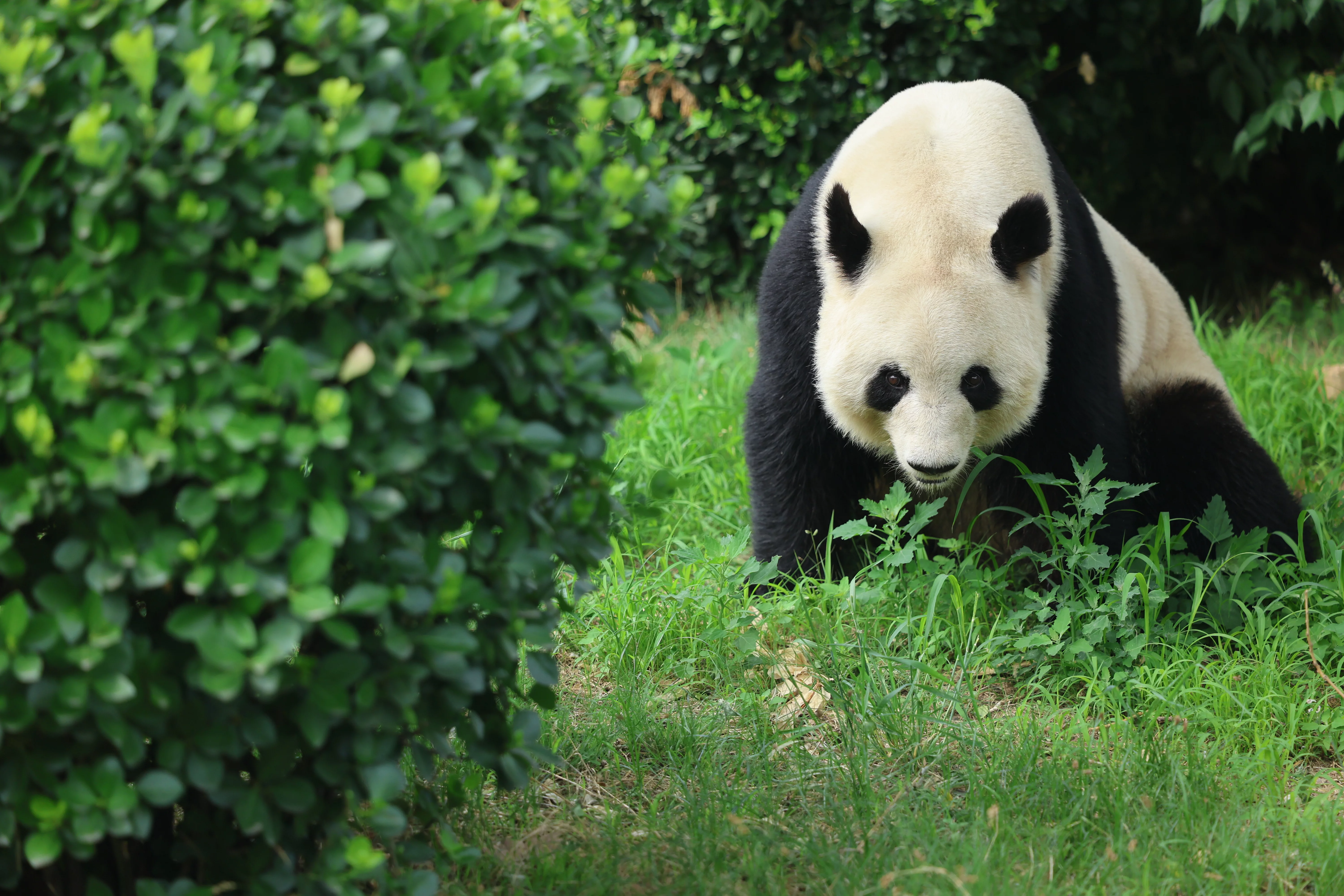 Tangshan Zoo
