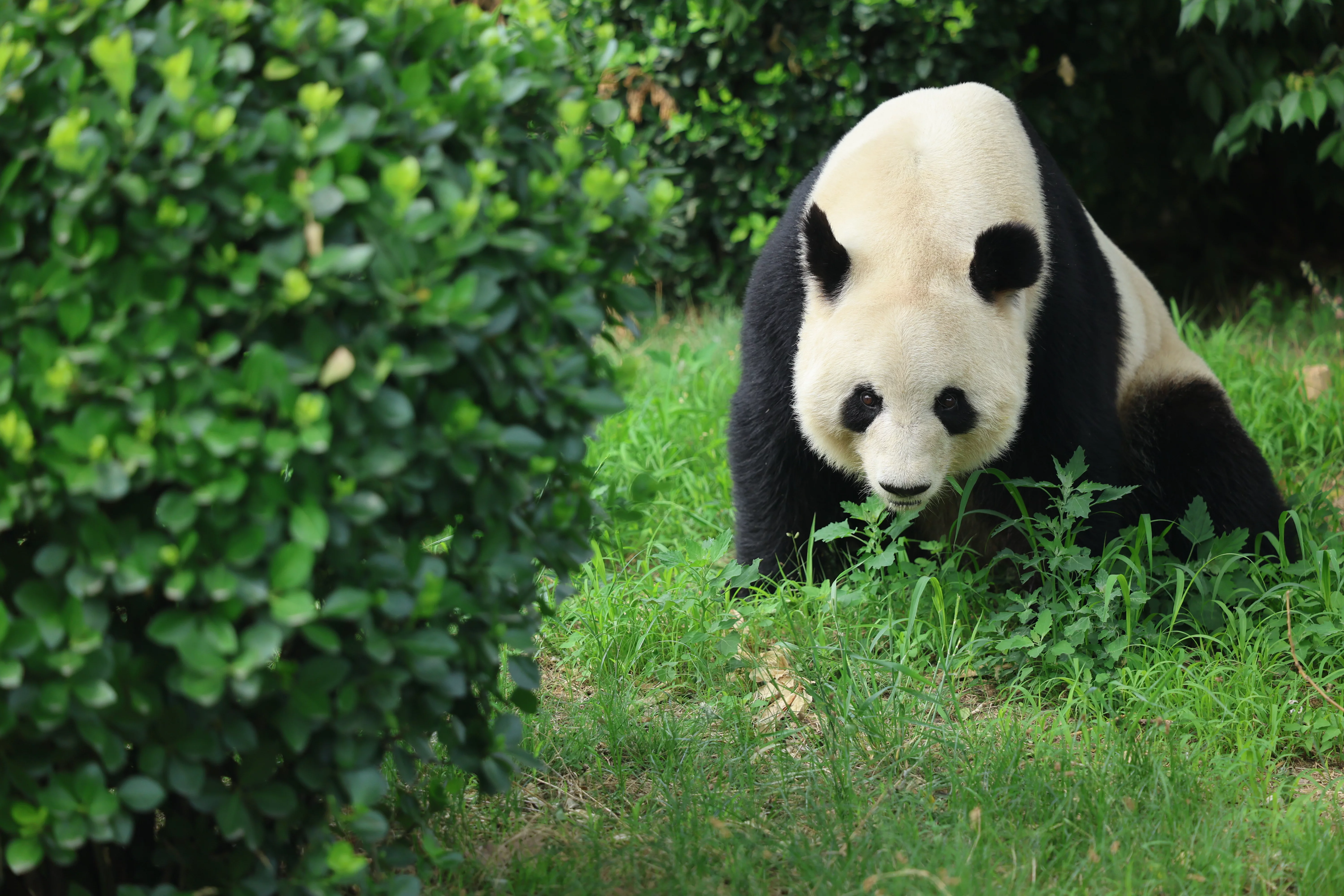 Tangshan Zoo