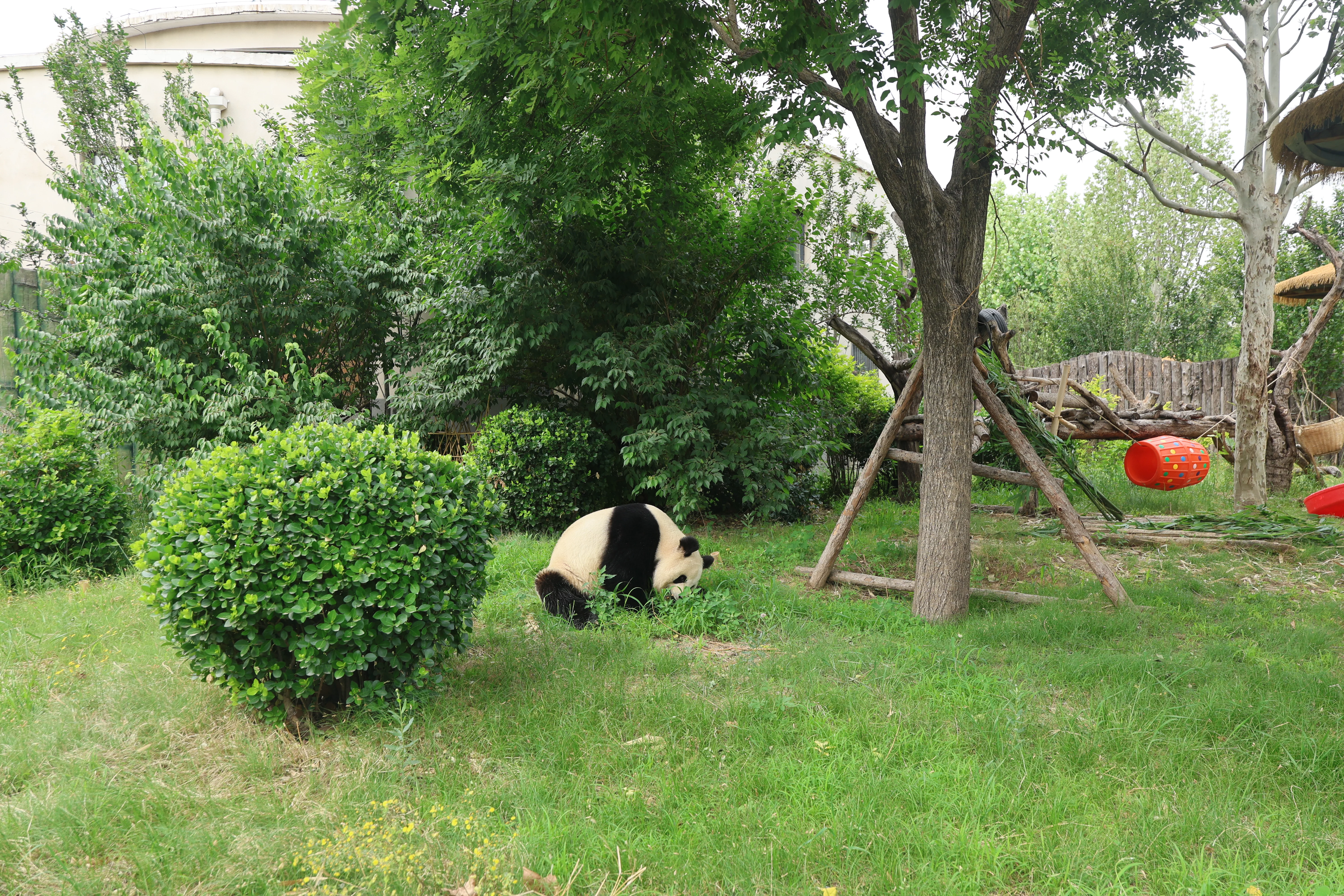 Tangshan Zoo