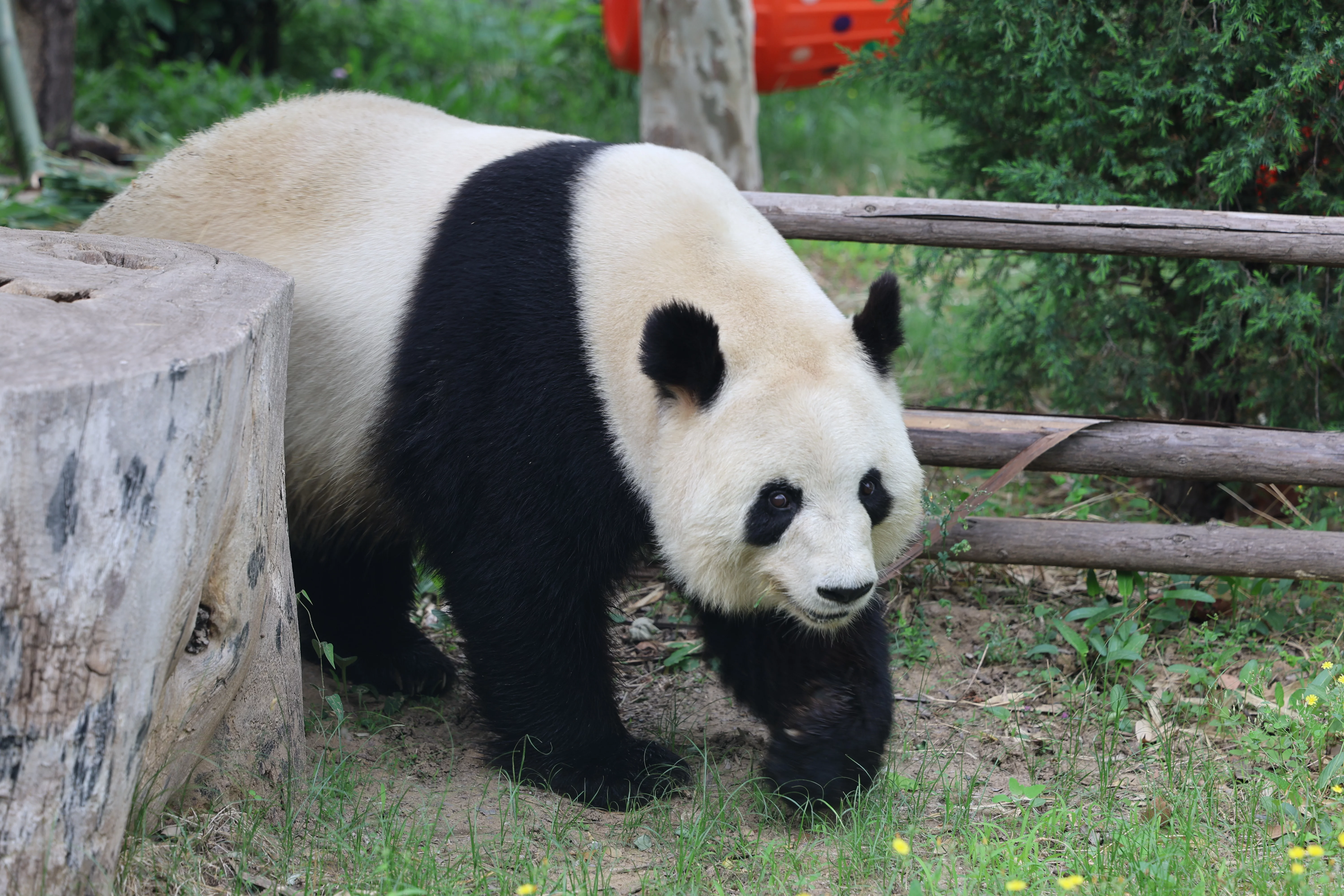 Tangshan Zoo