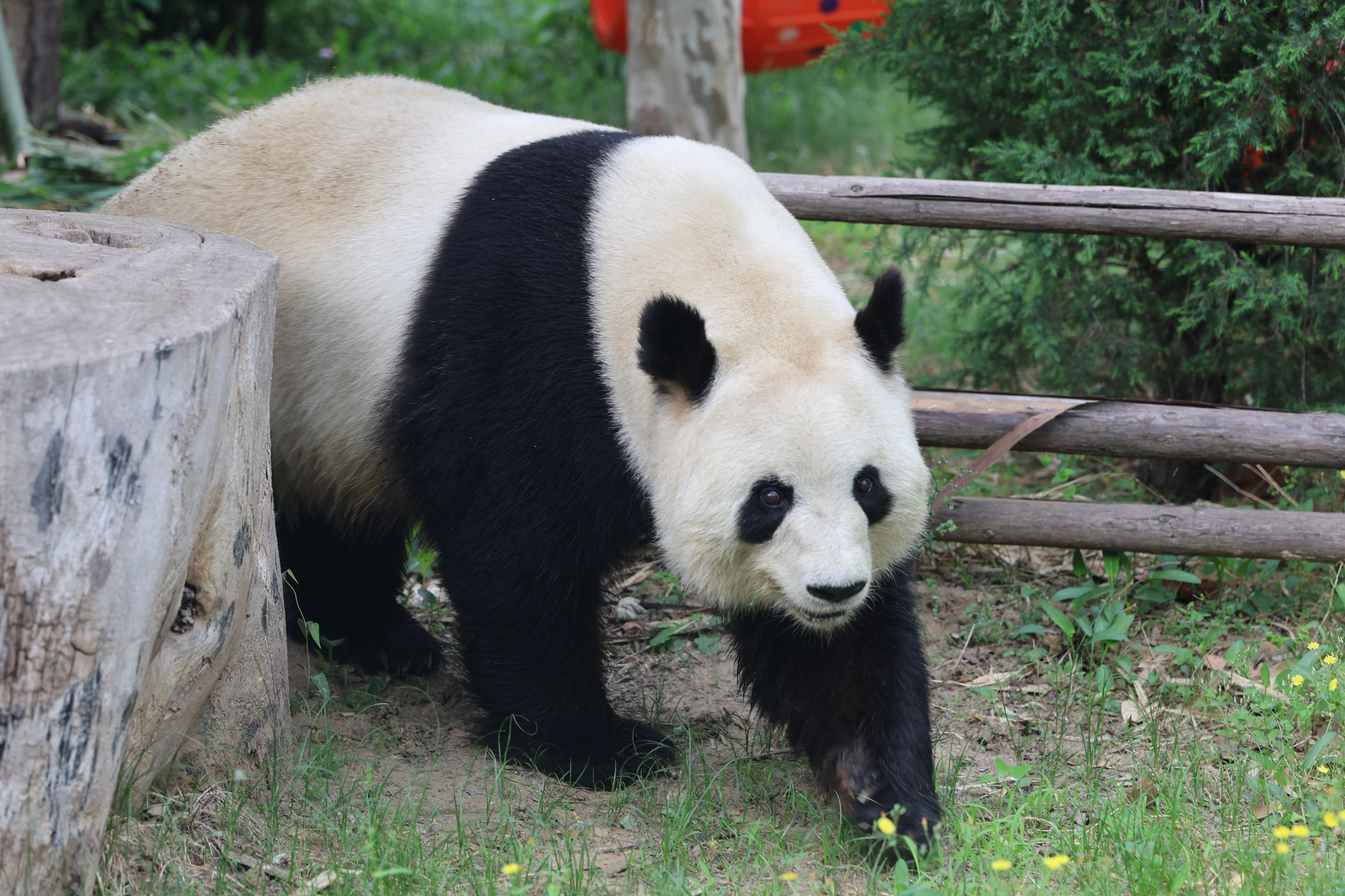 Tangshan Zoo