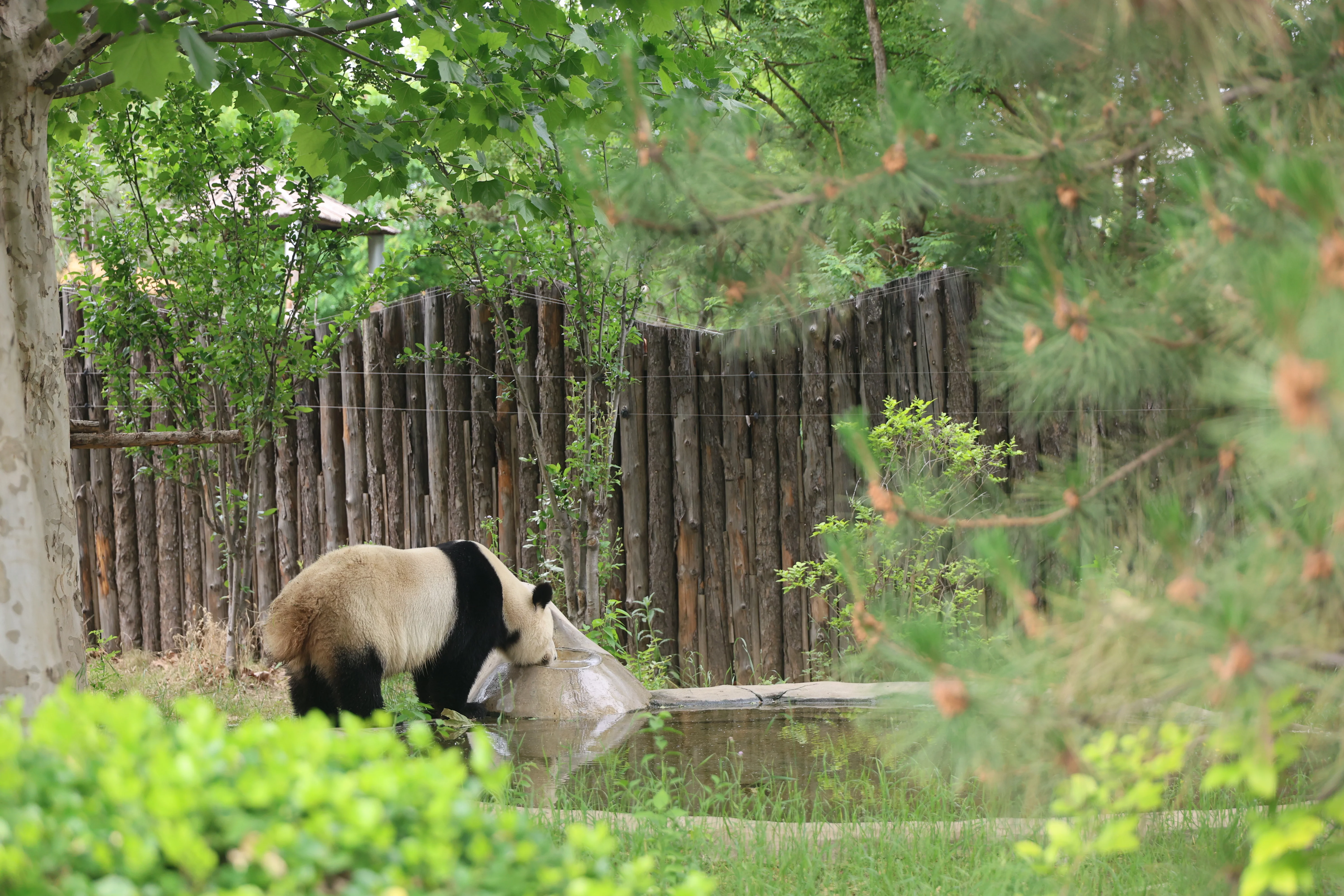 Tangshan Zoo