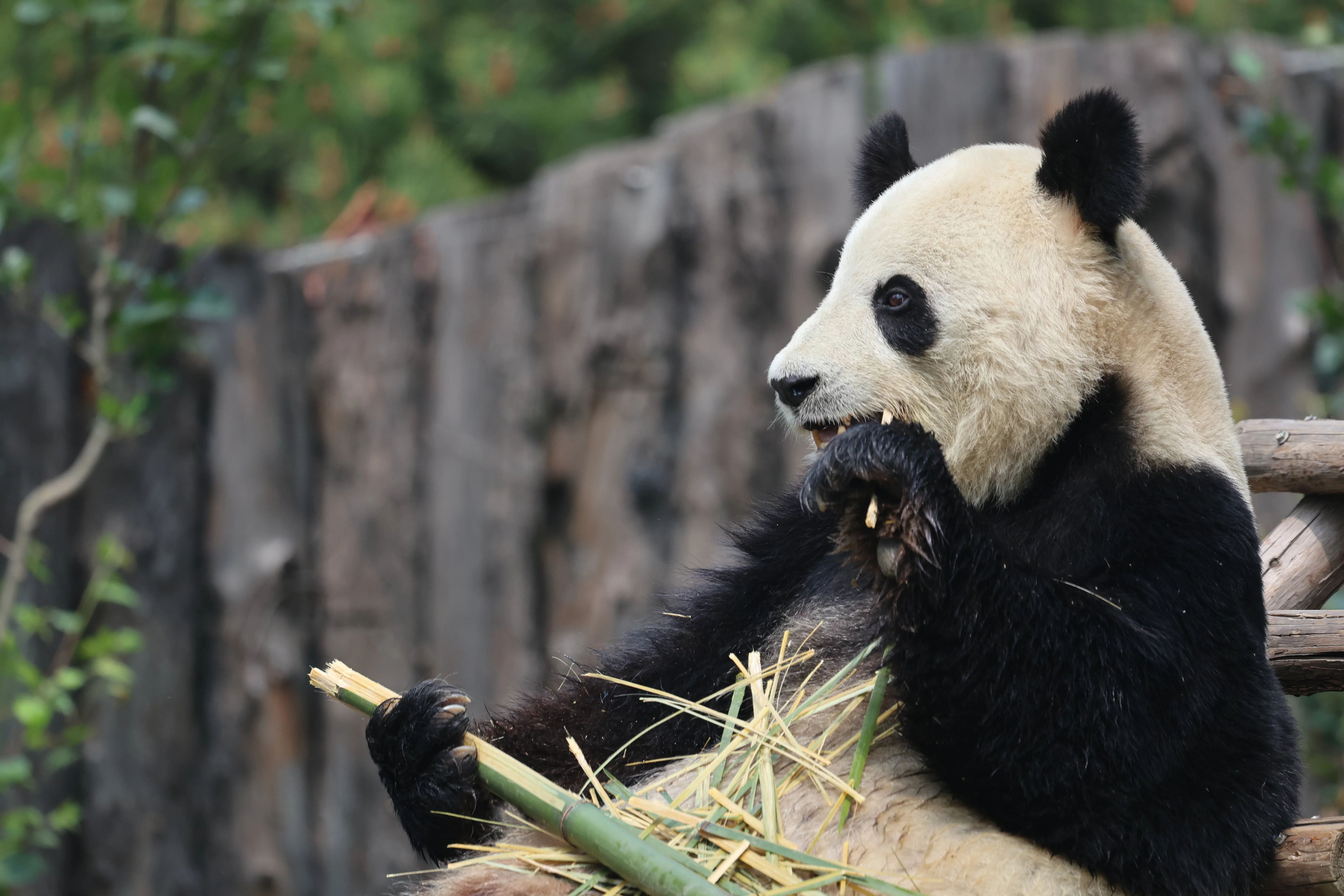 Tangshan Zoo