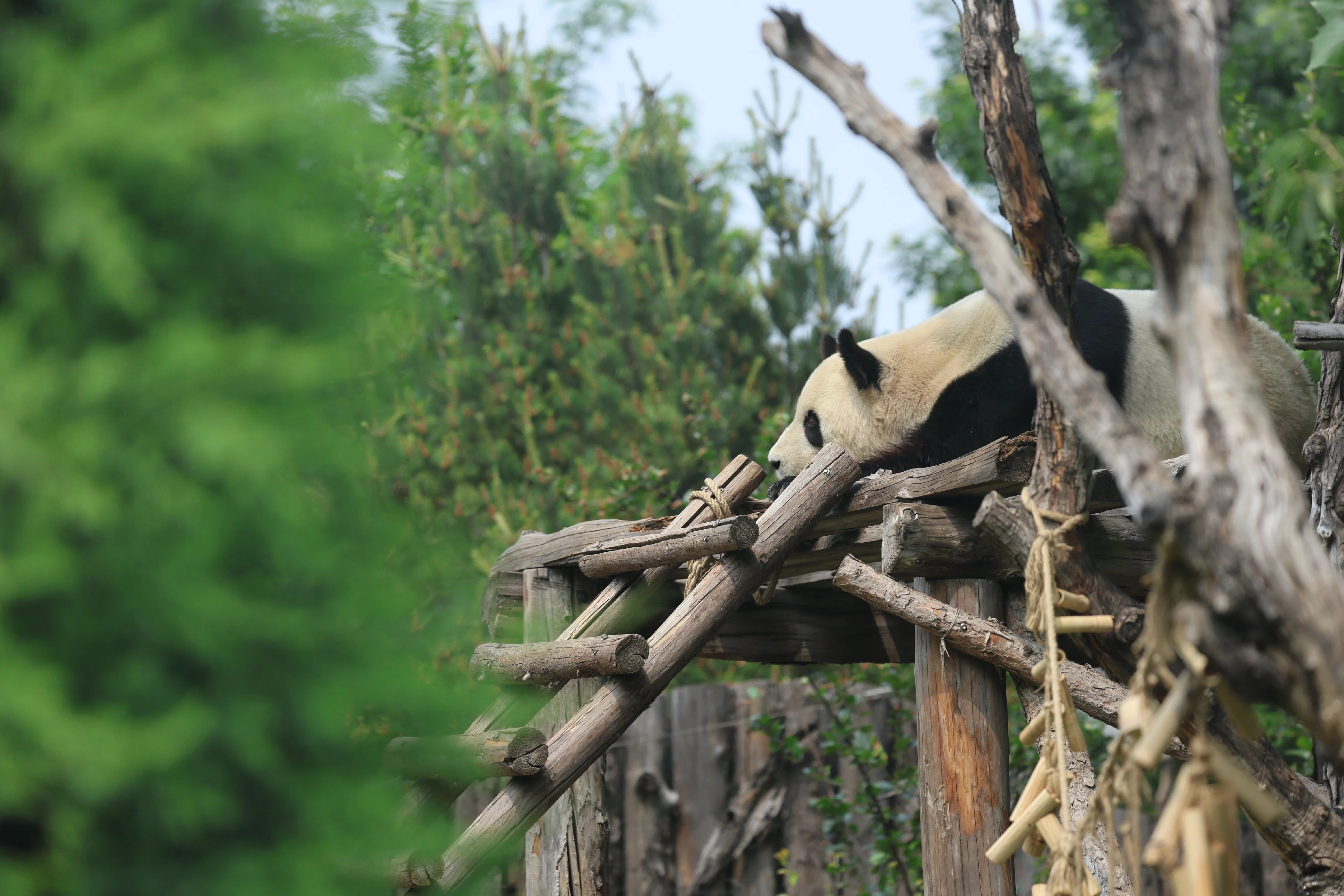 Tangshan Zoo