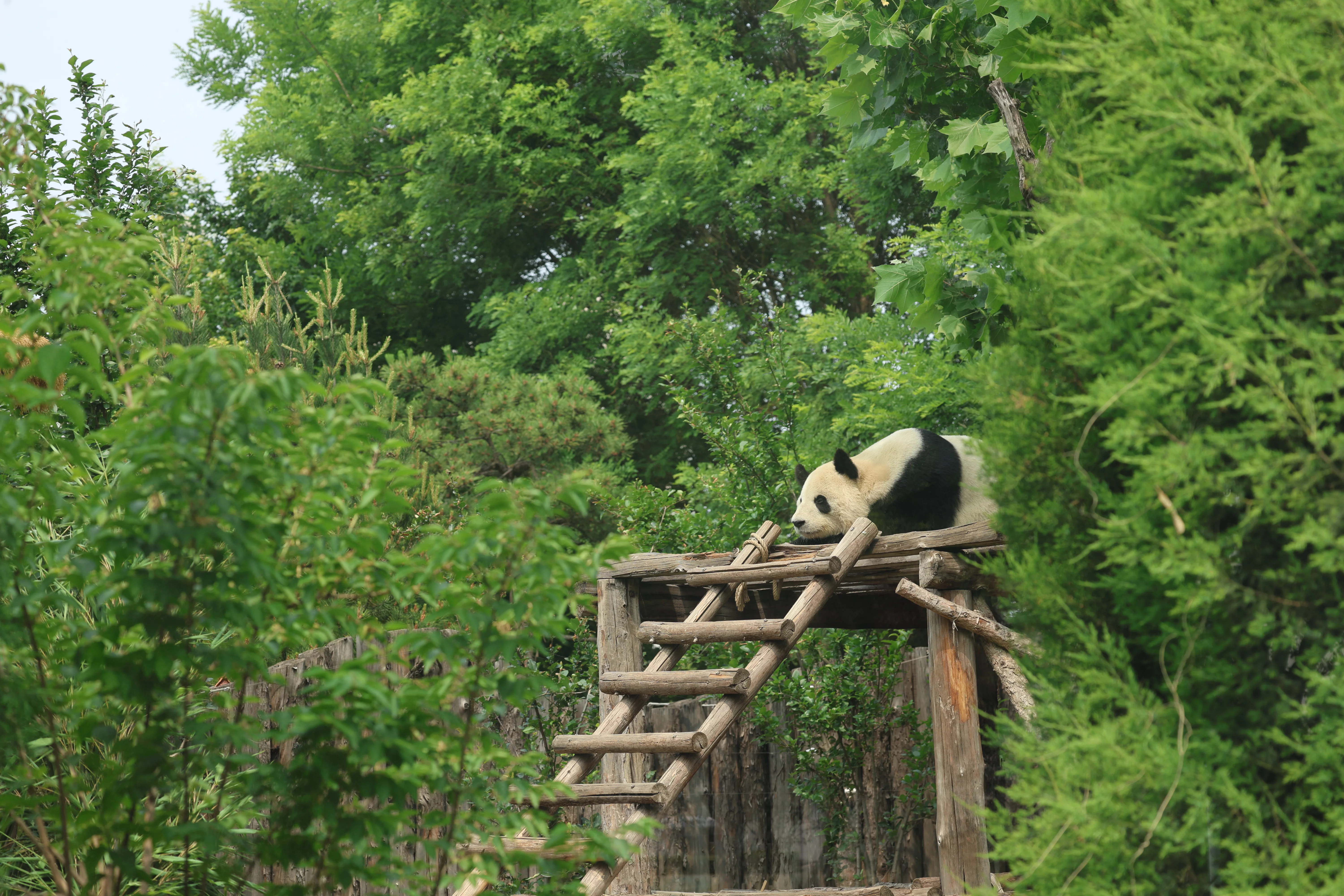 Tangshan Zoo