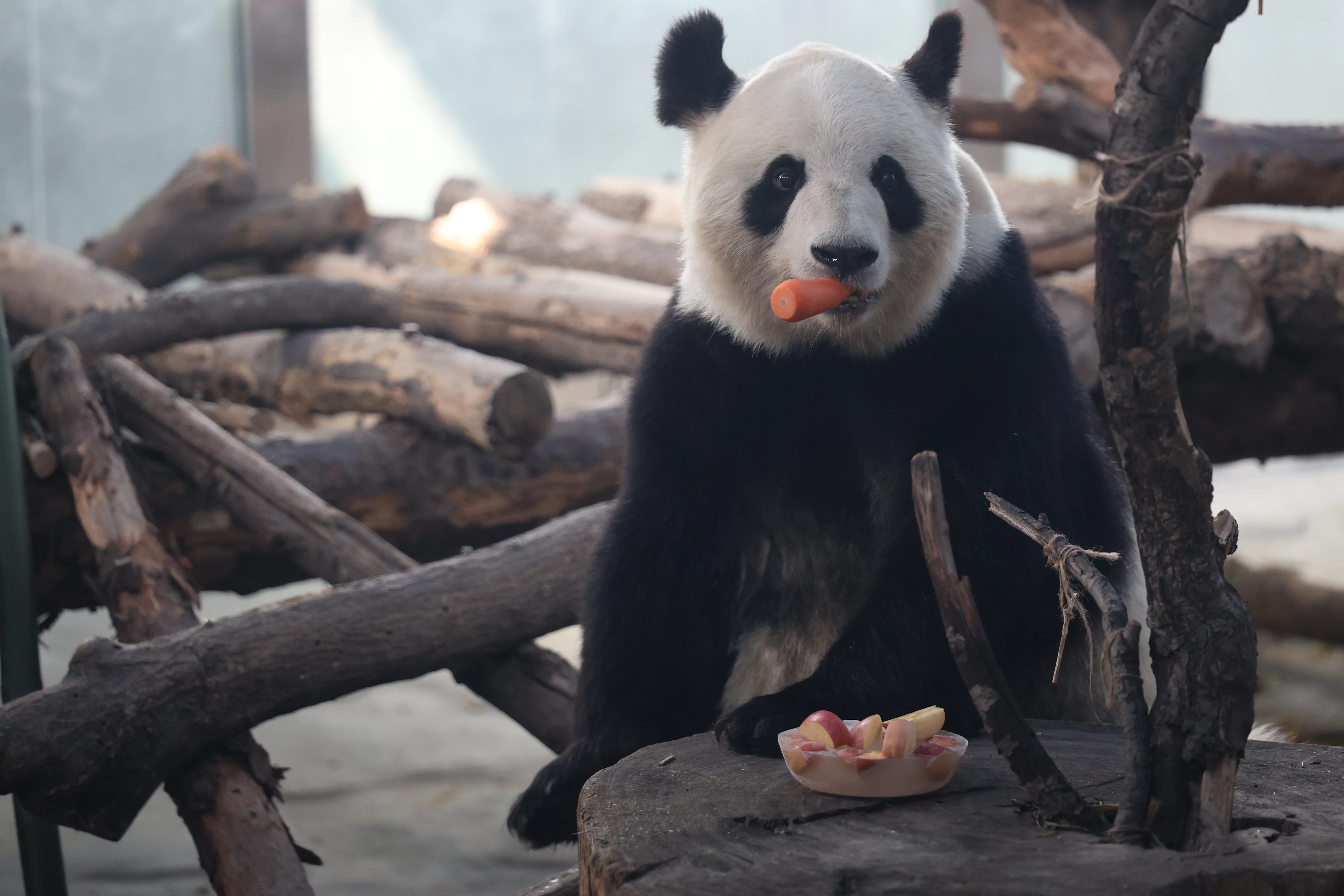 Tangshan Zoo