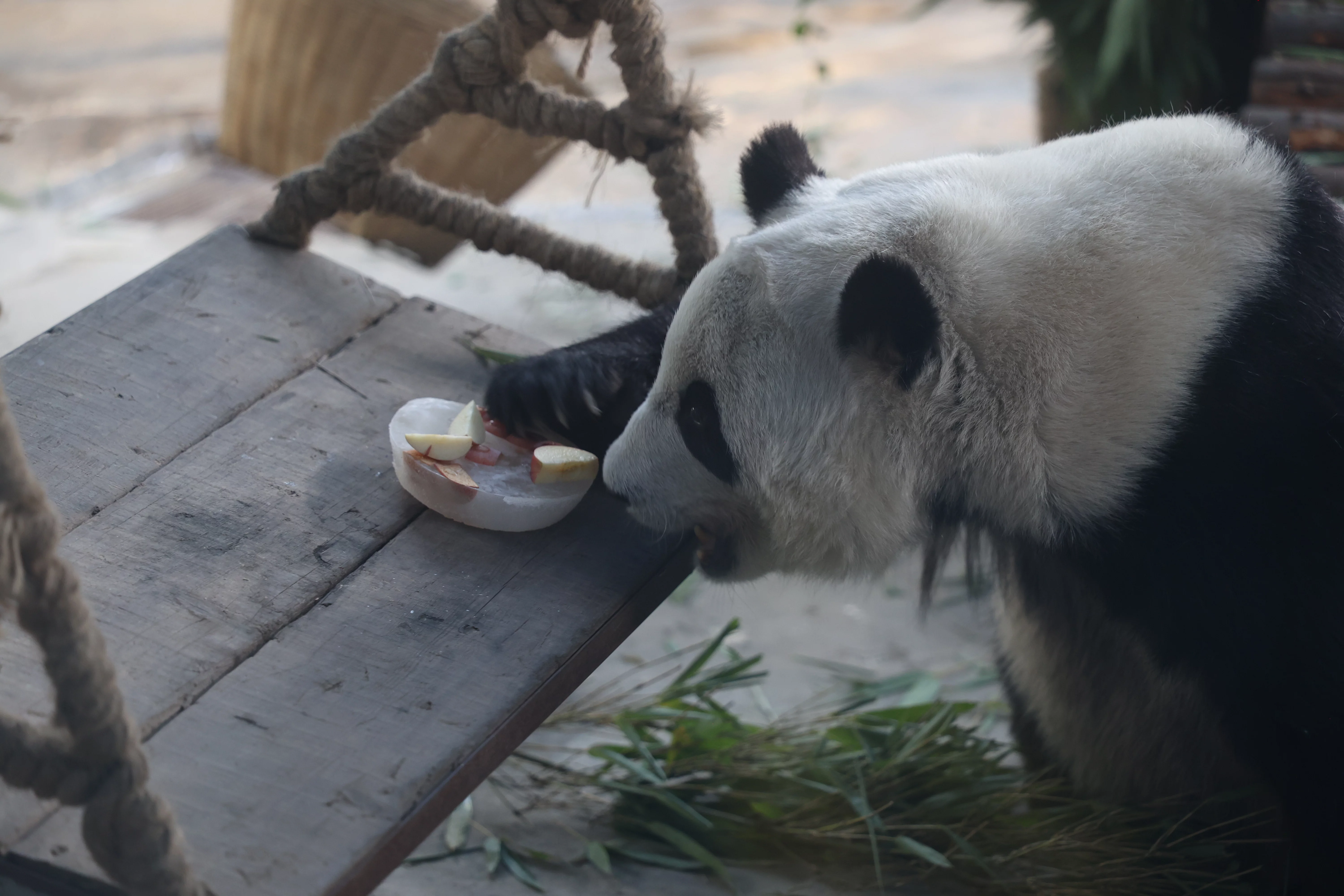 Tangshan Zoo