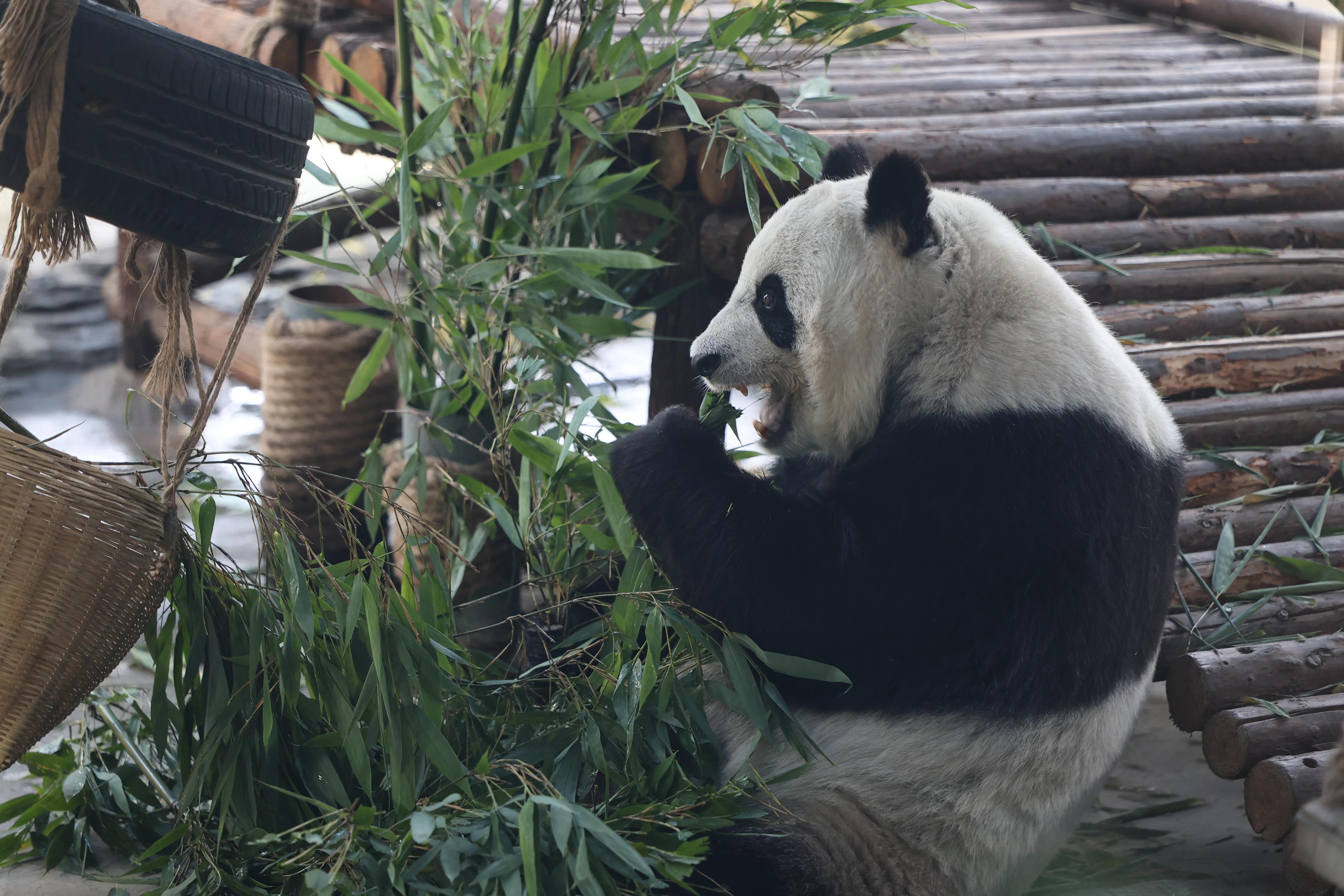 Tangshan Zoo
