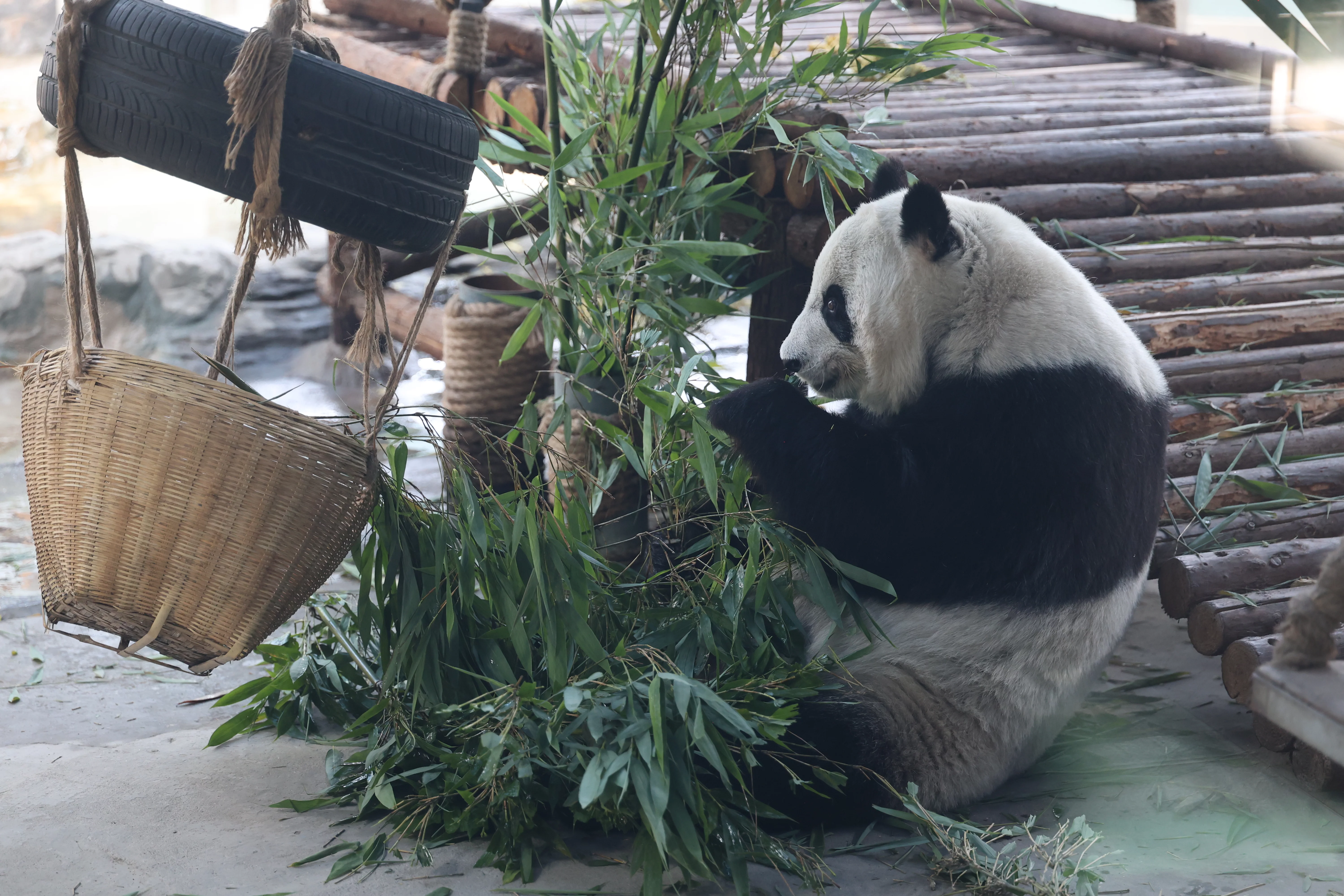 Tangshan Zoo