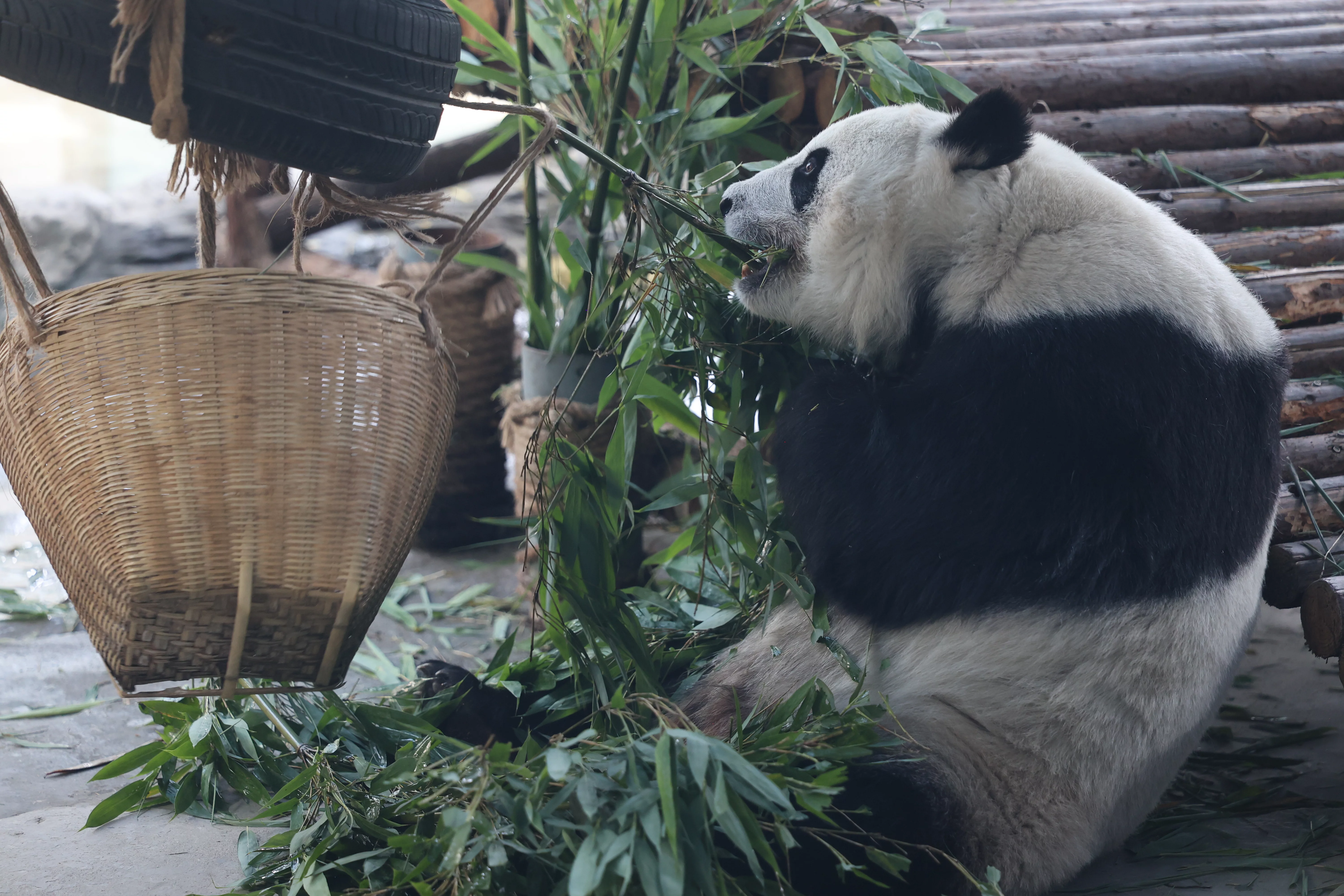 Tangshan Zoo