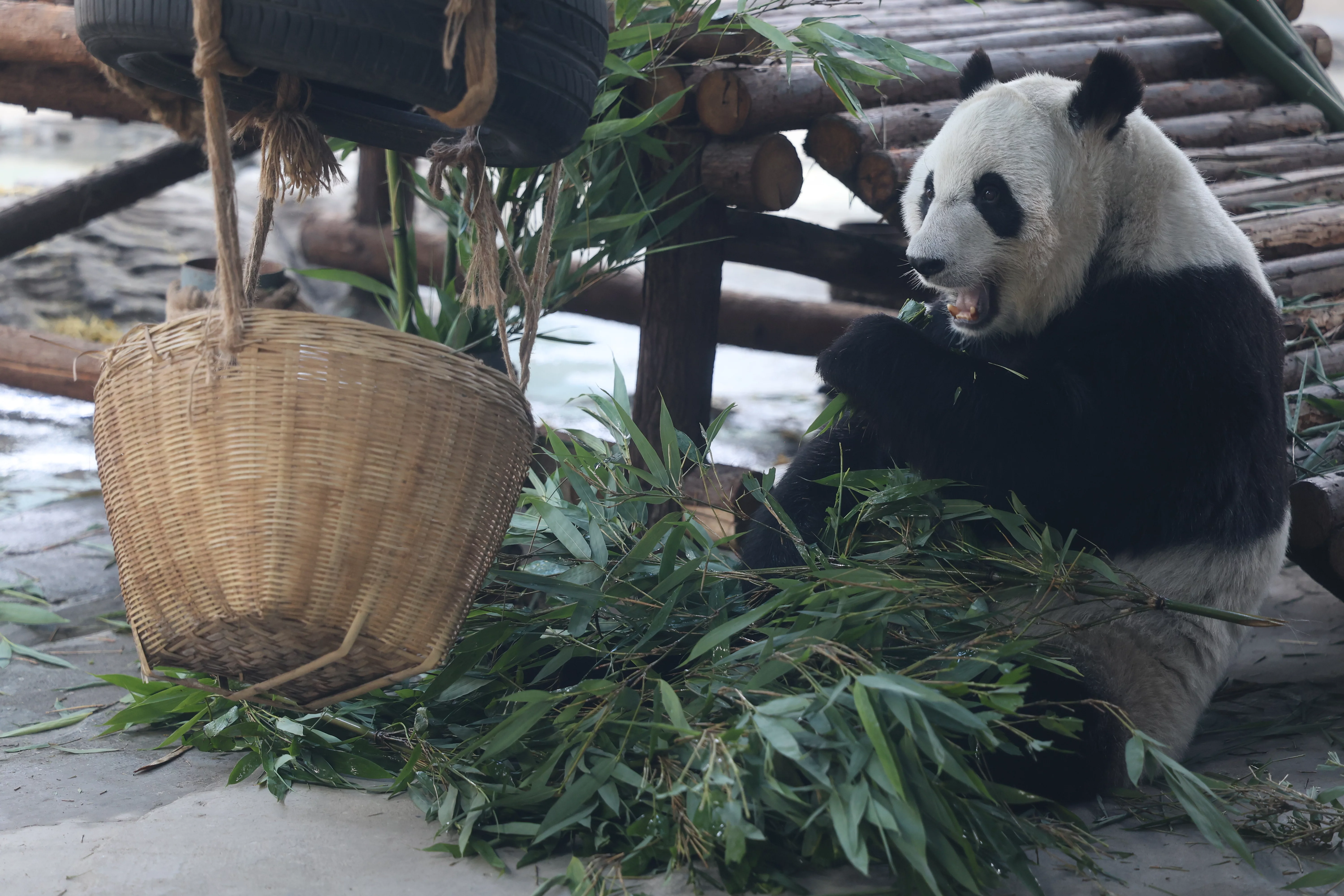 Tangshan Zoo