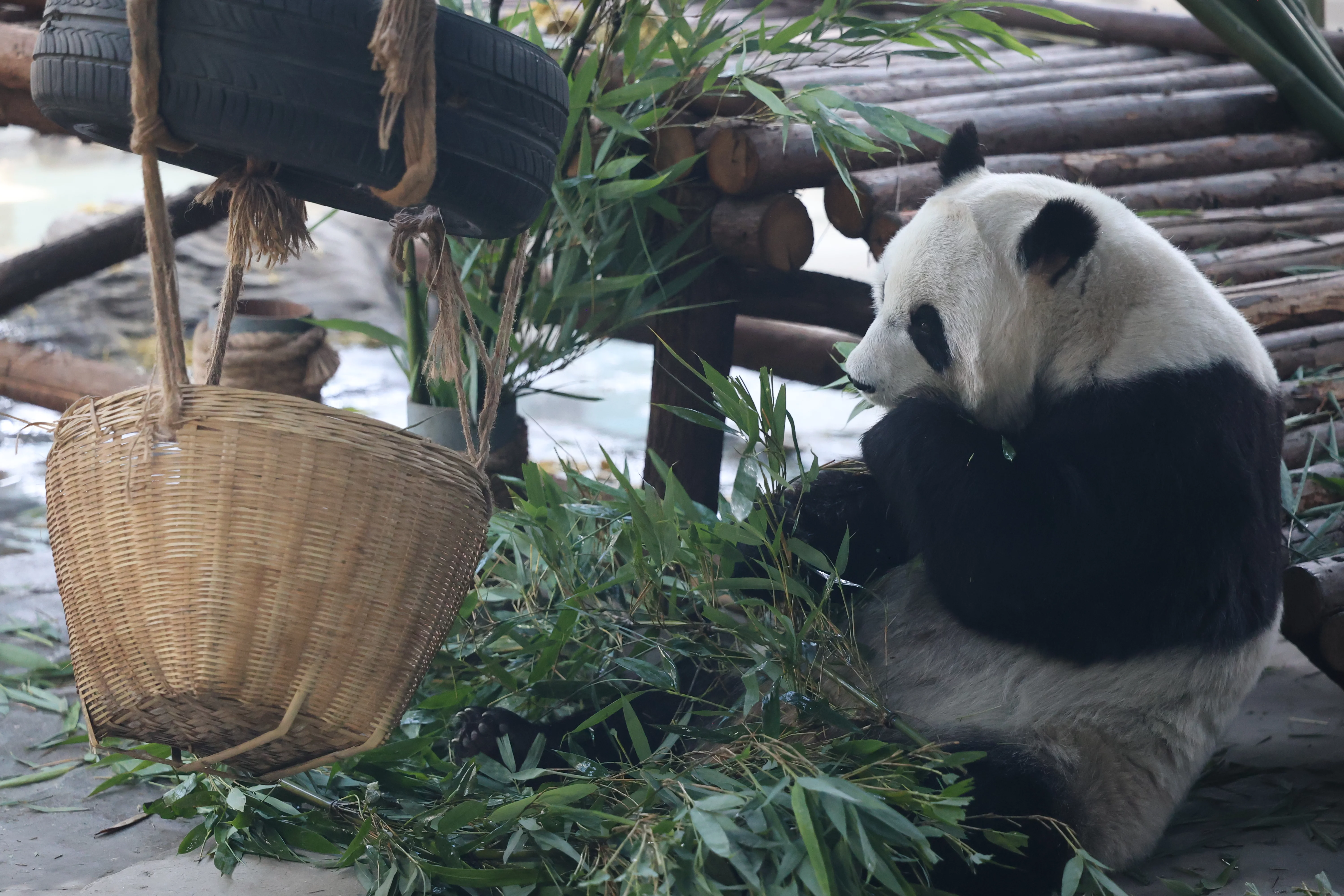 Tangshan Zoo