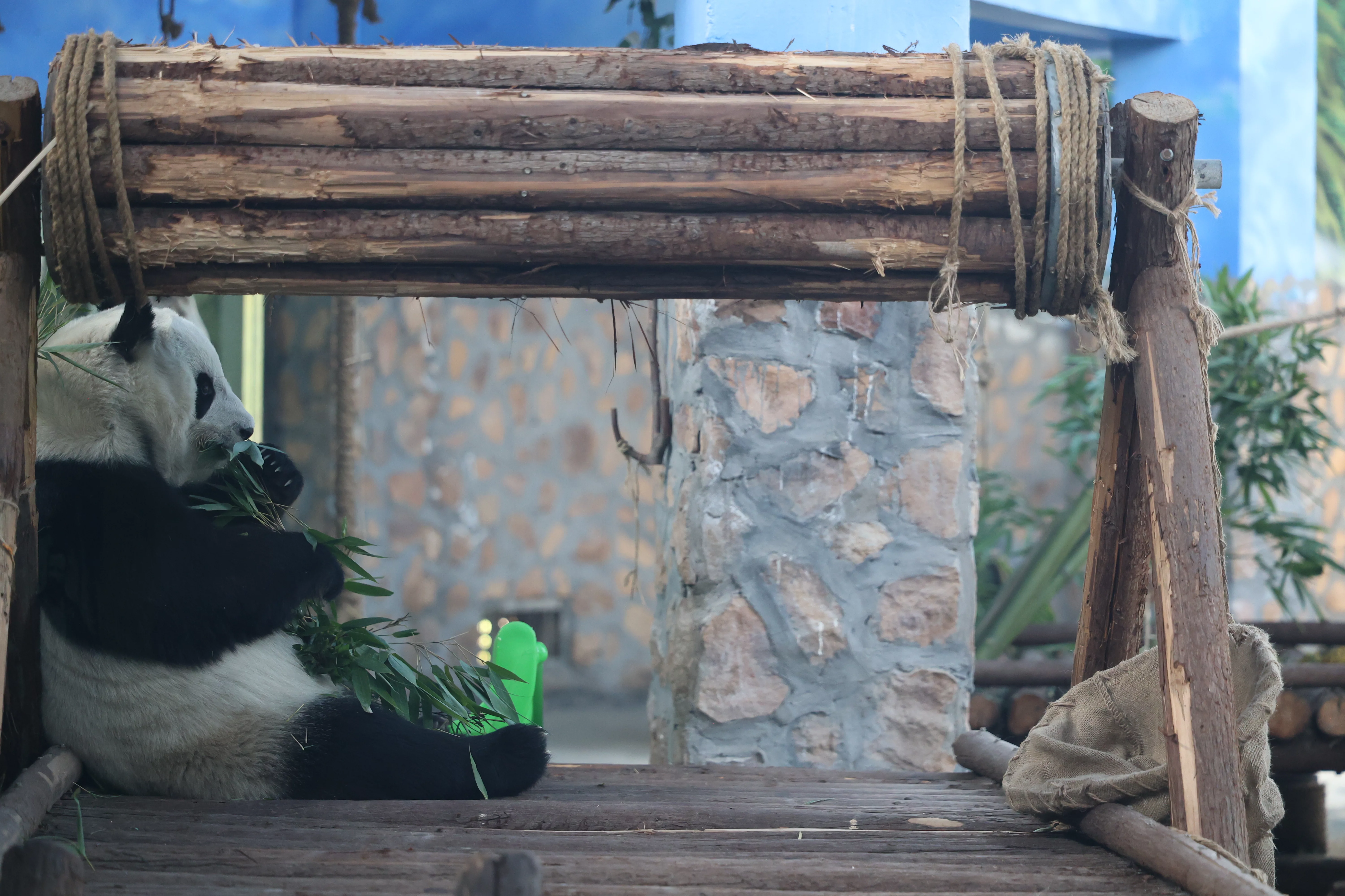 Tangshan Zoo