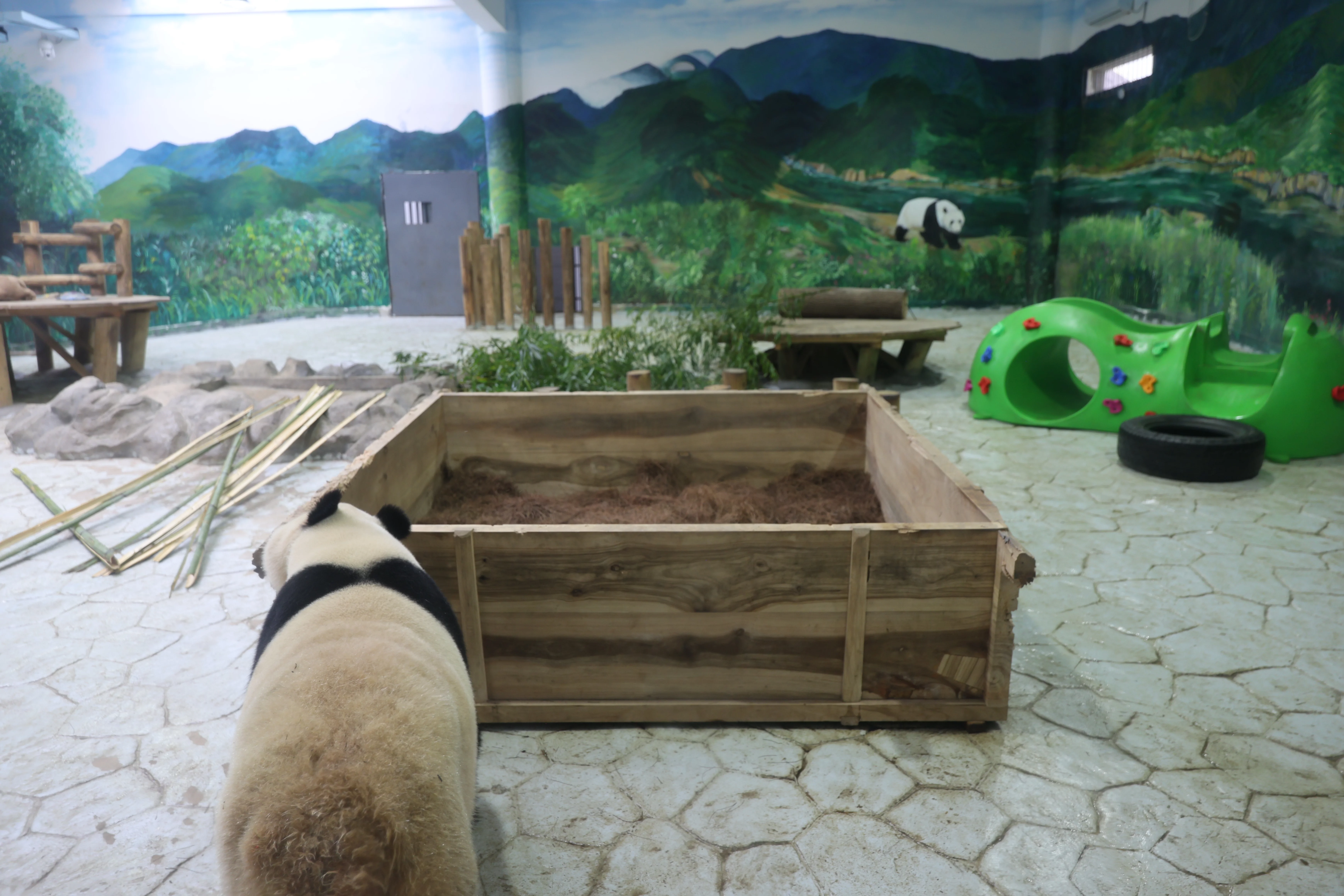 Huaying Mountain Giant Panda Garden