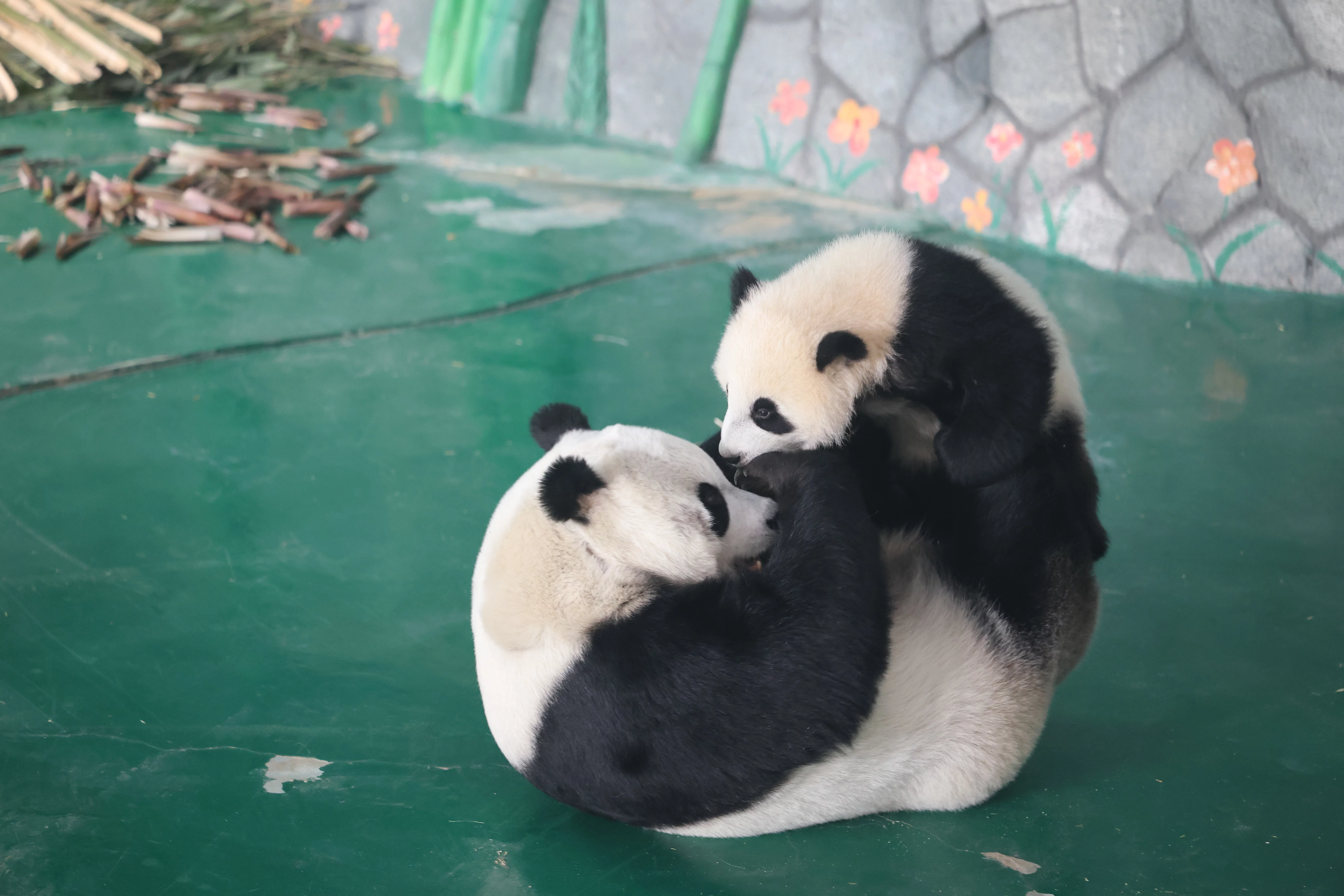 Lanzhou Zoo
