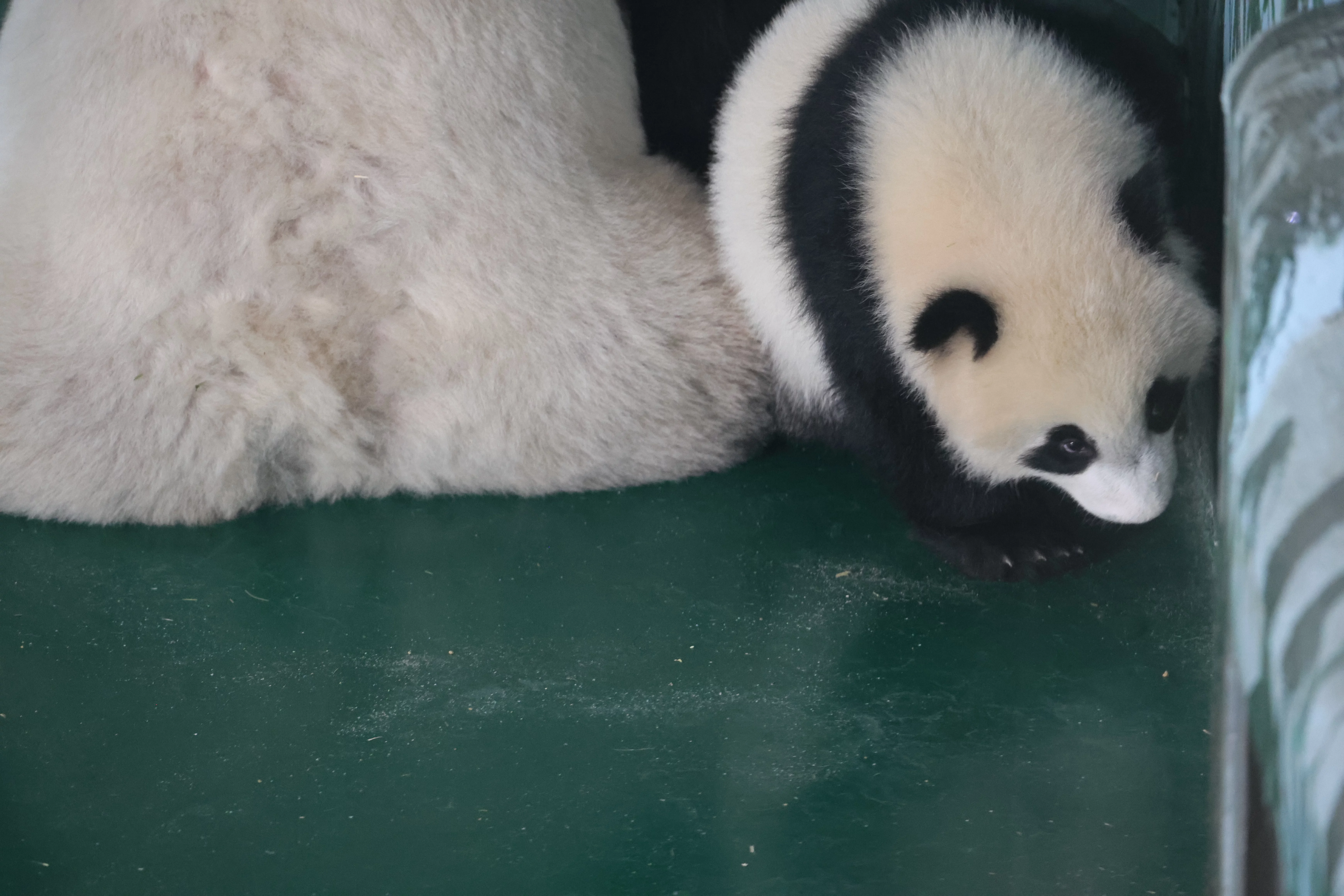 Lanzhou Zoo