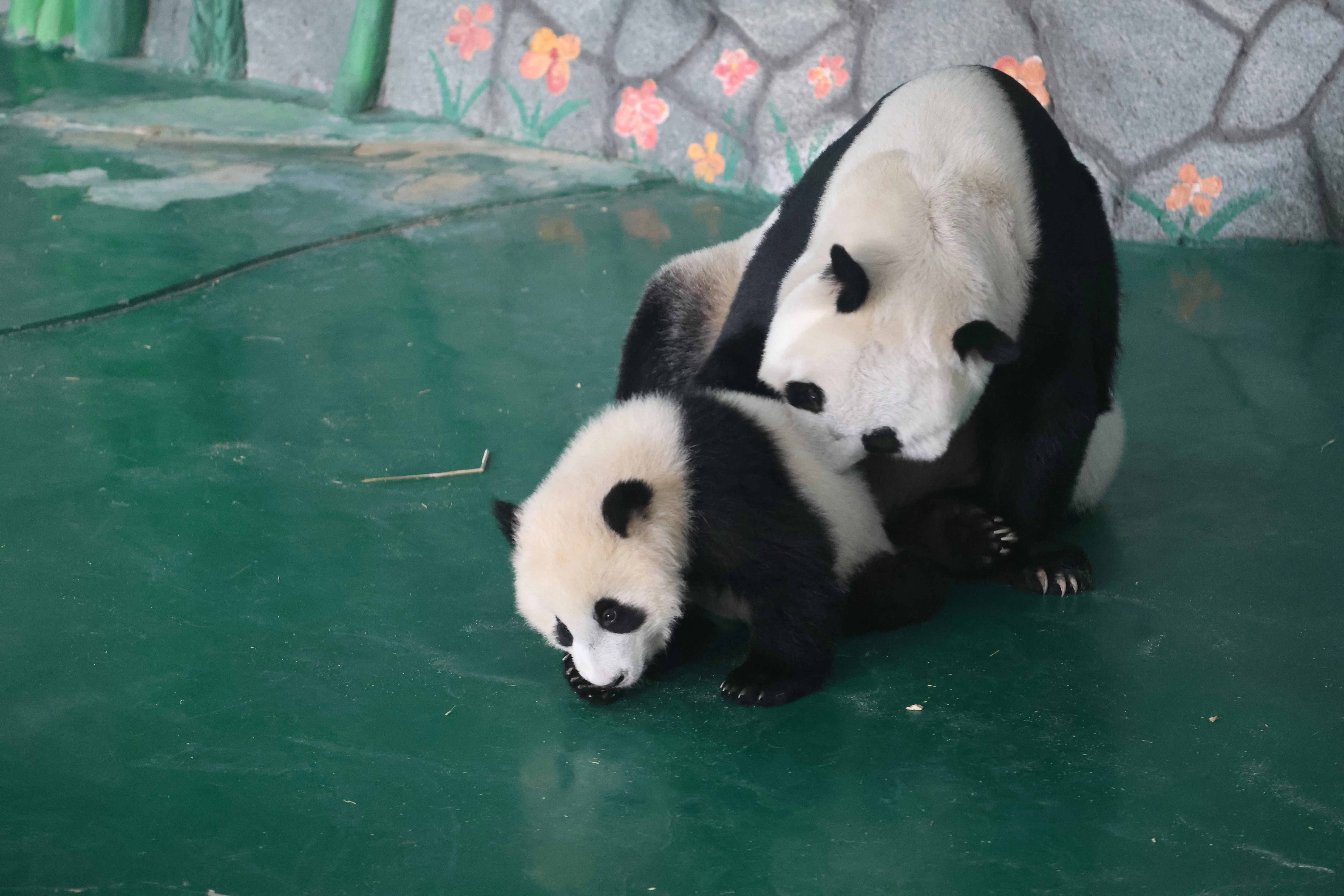 Lanzhou Zoo