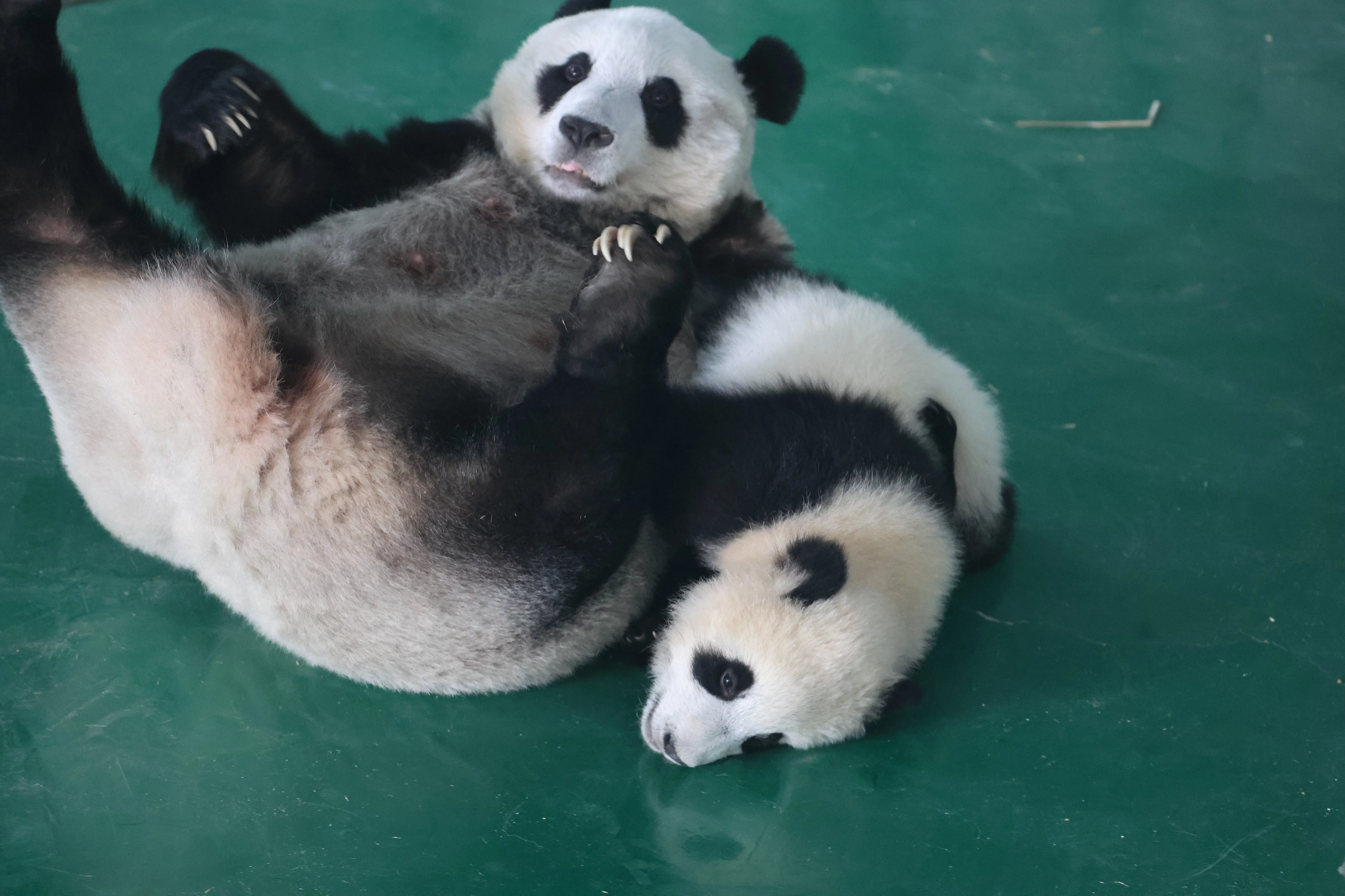 Lanzhou Zoo