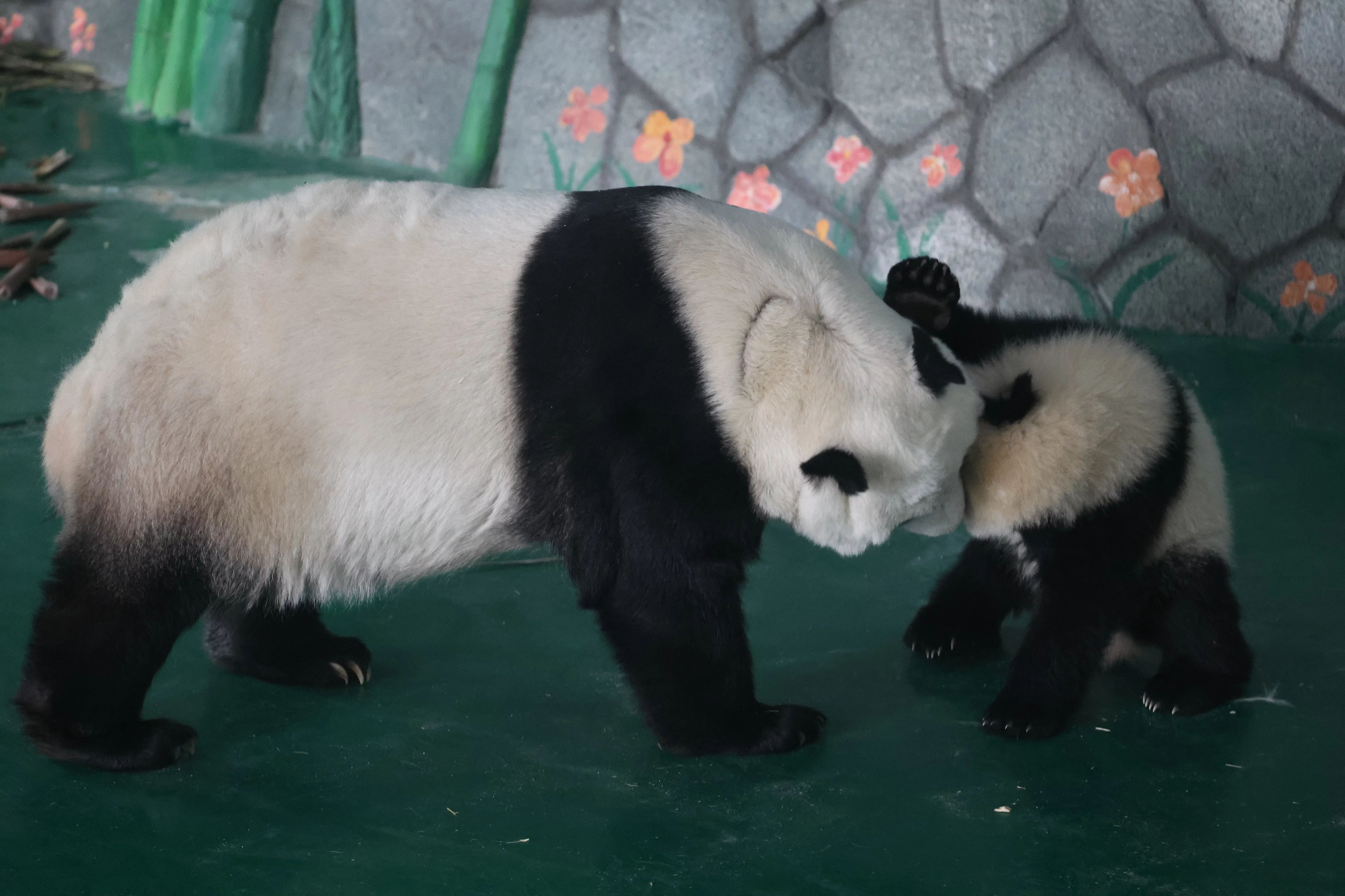 Lanzhou Zoo