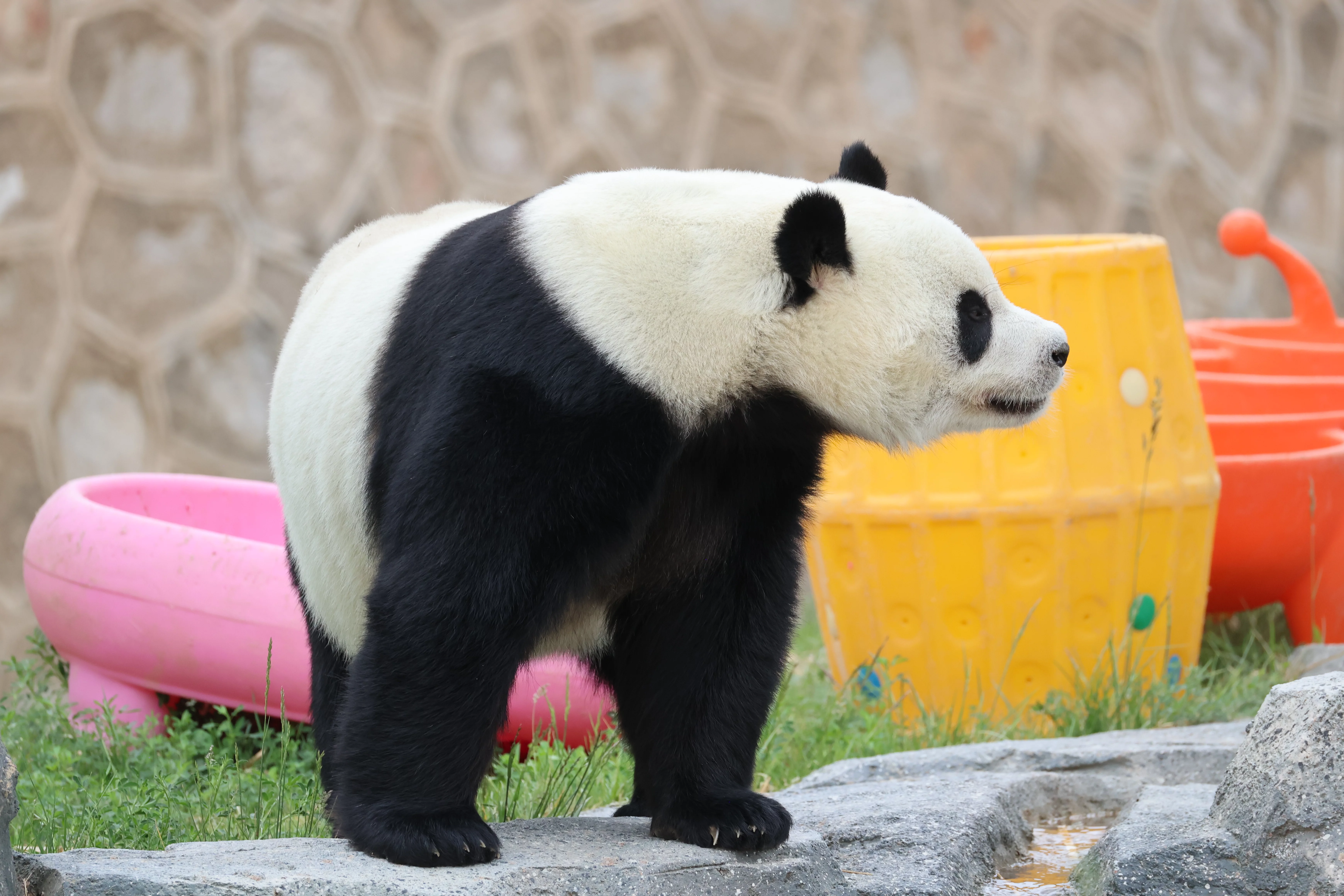 Lanzhou Zoo