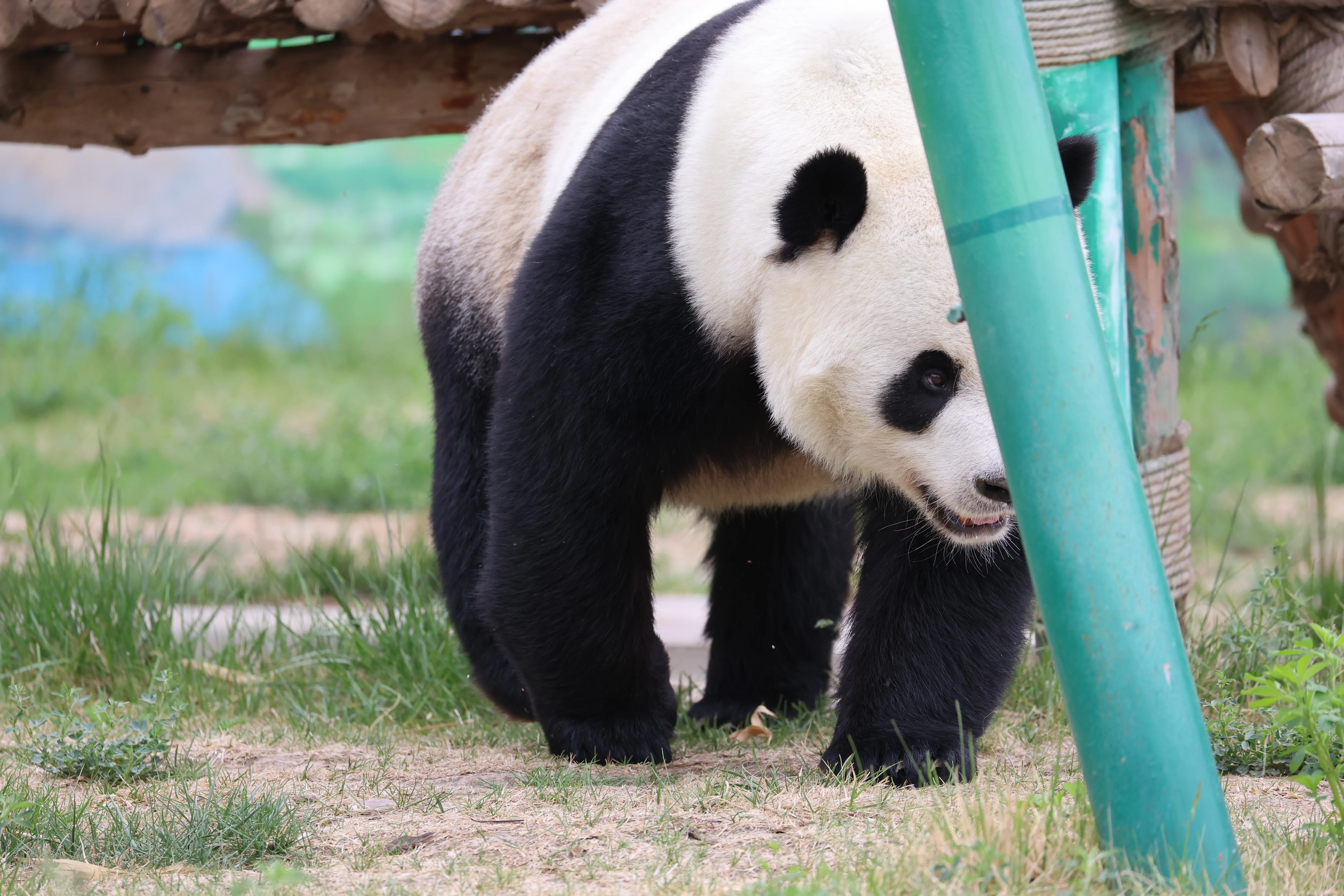 Lanzhou Zoo