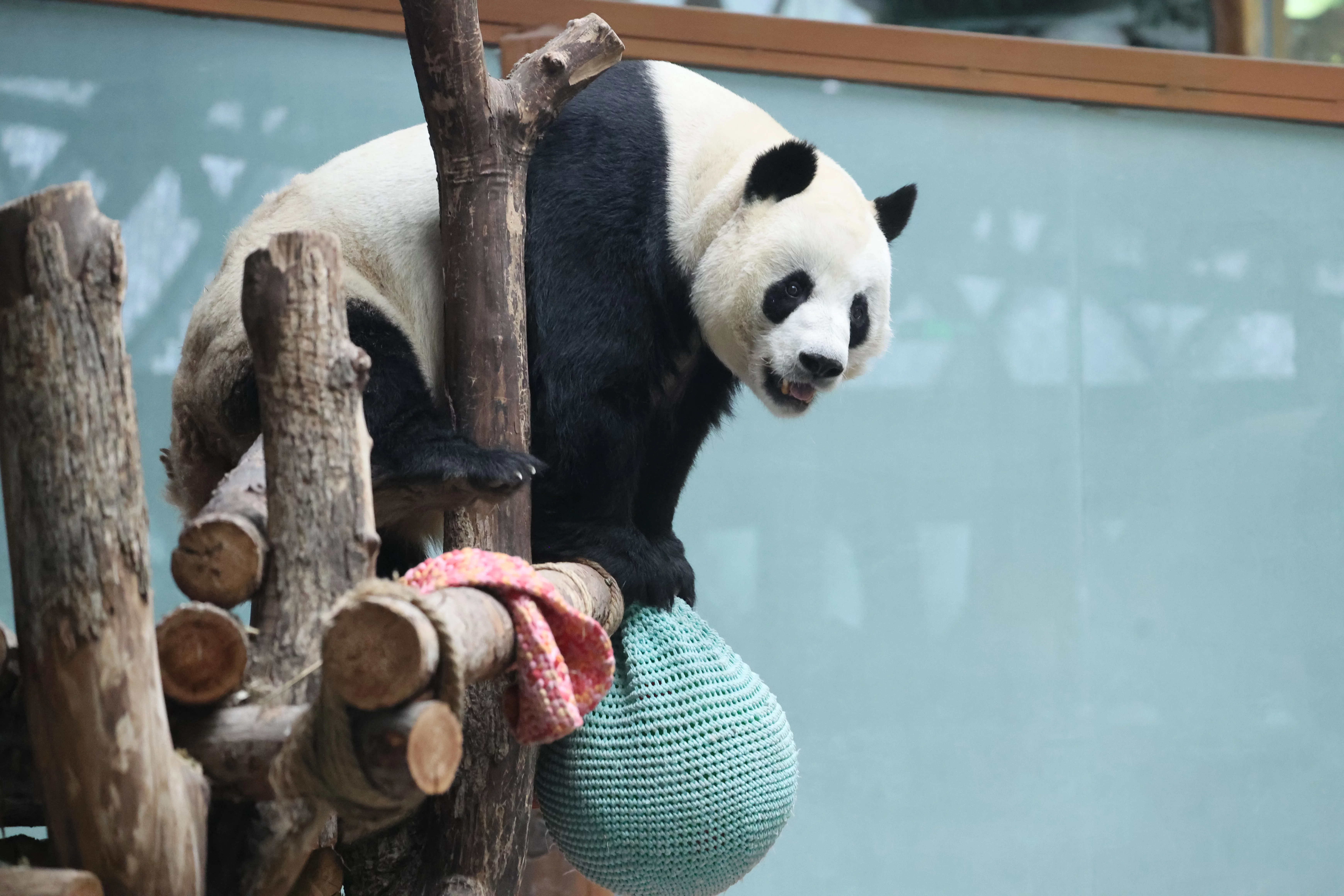 Xining Wildlife Park