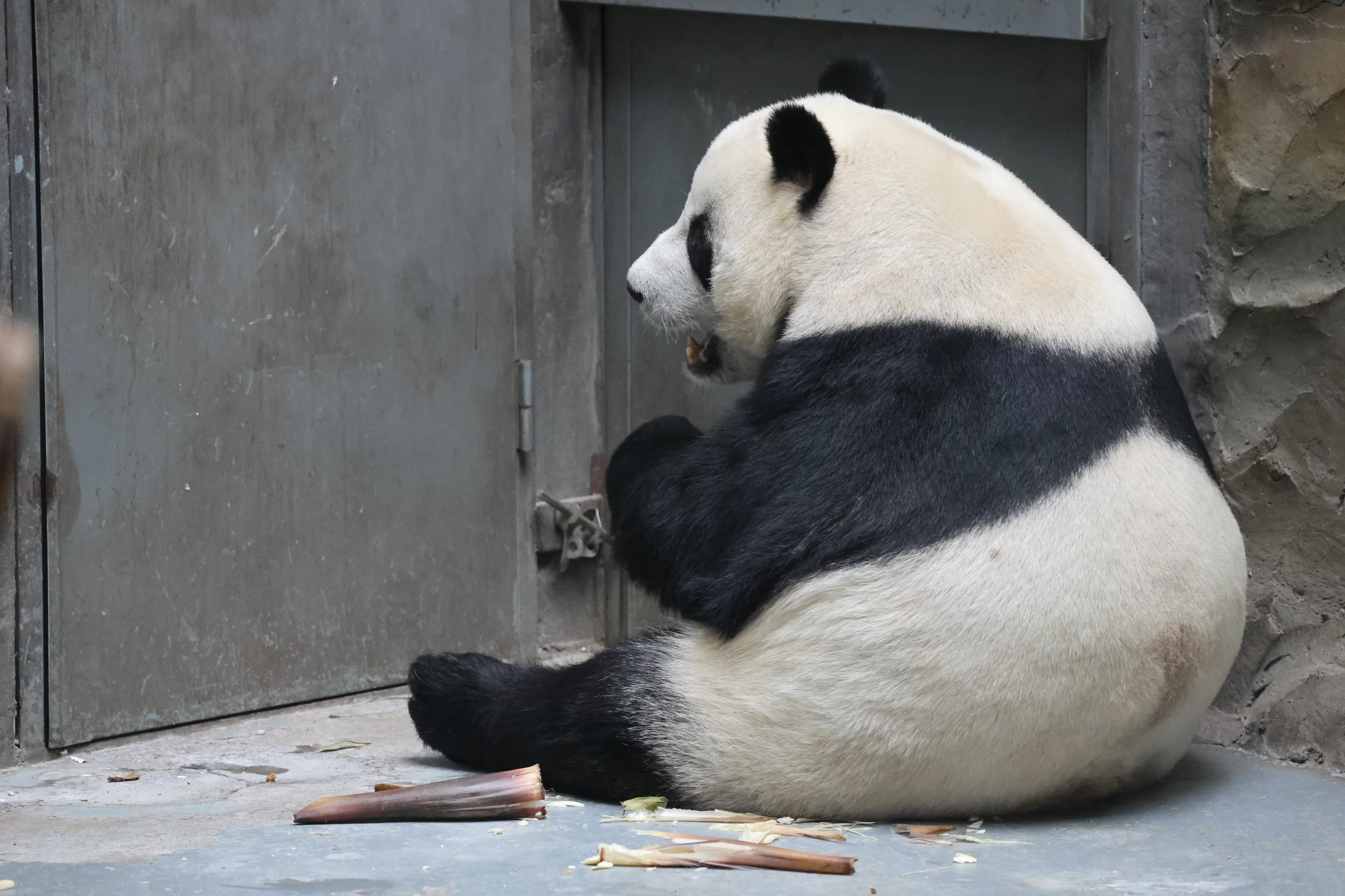 Xining Wildlife Park