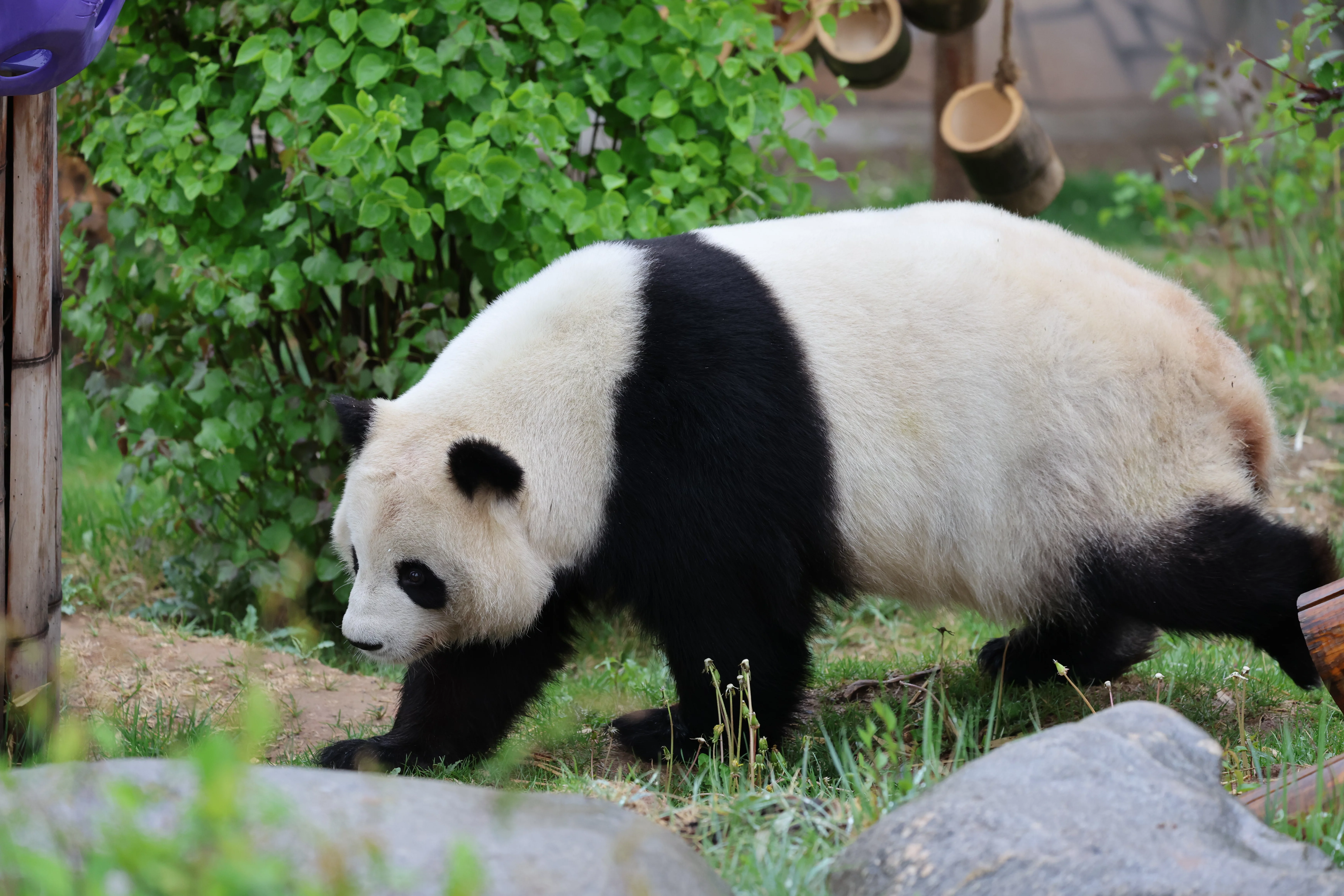 Xining Wildlife Park