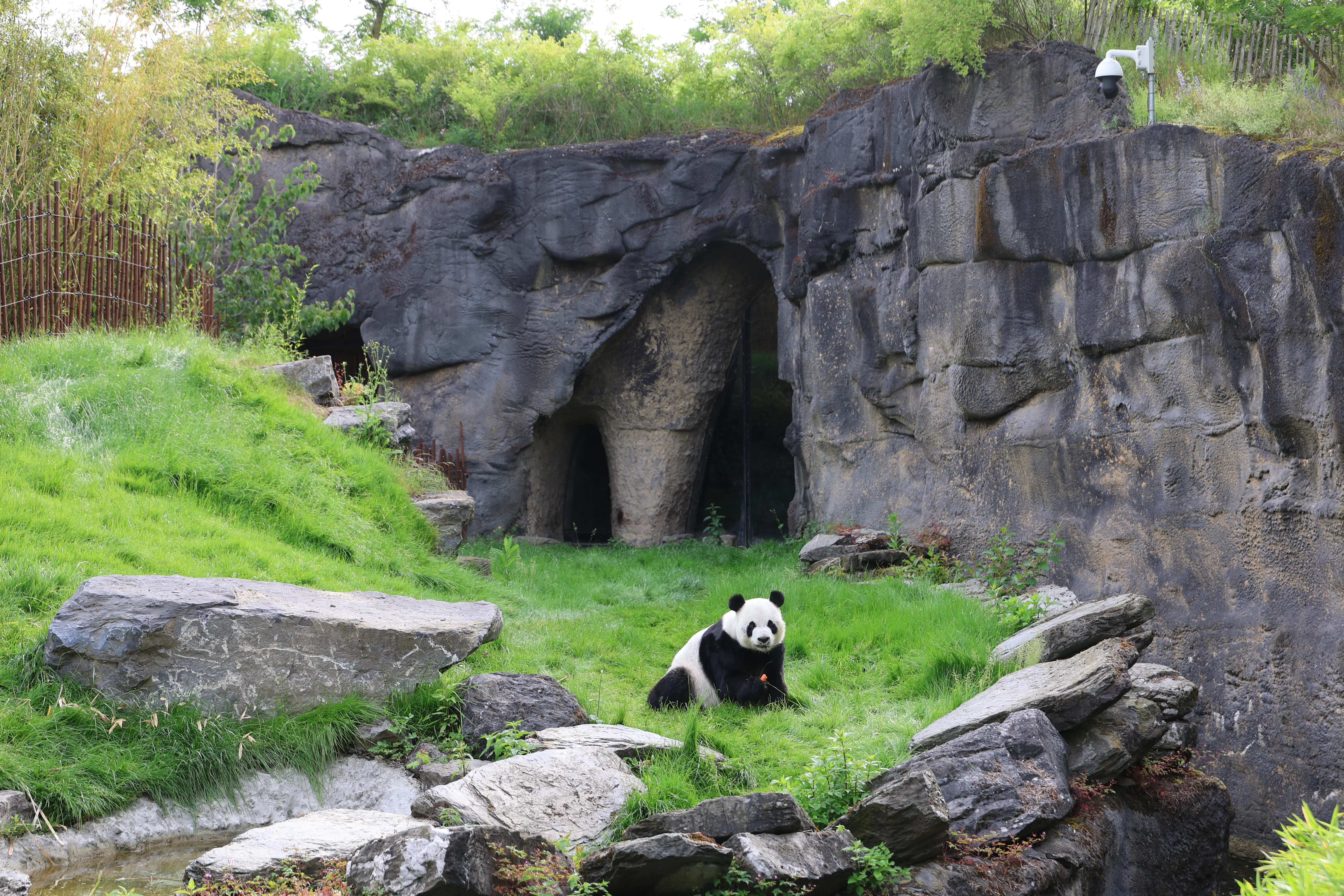 Pairi Daiza