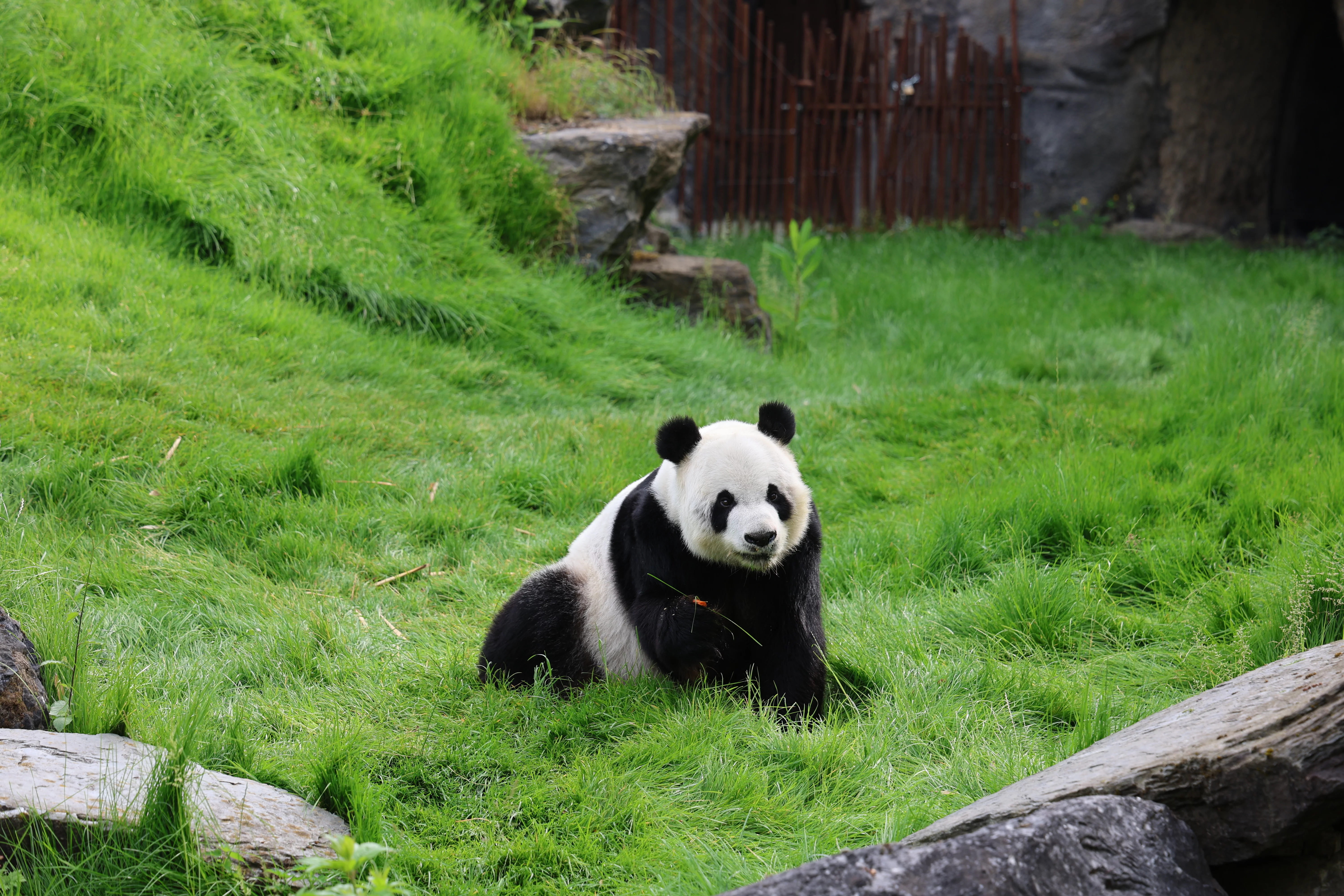 Pairi Daiza
