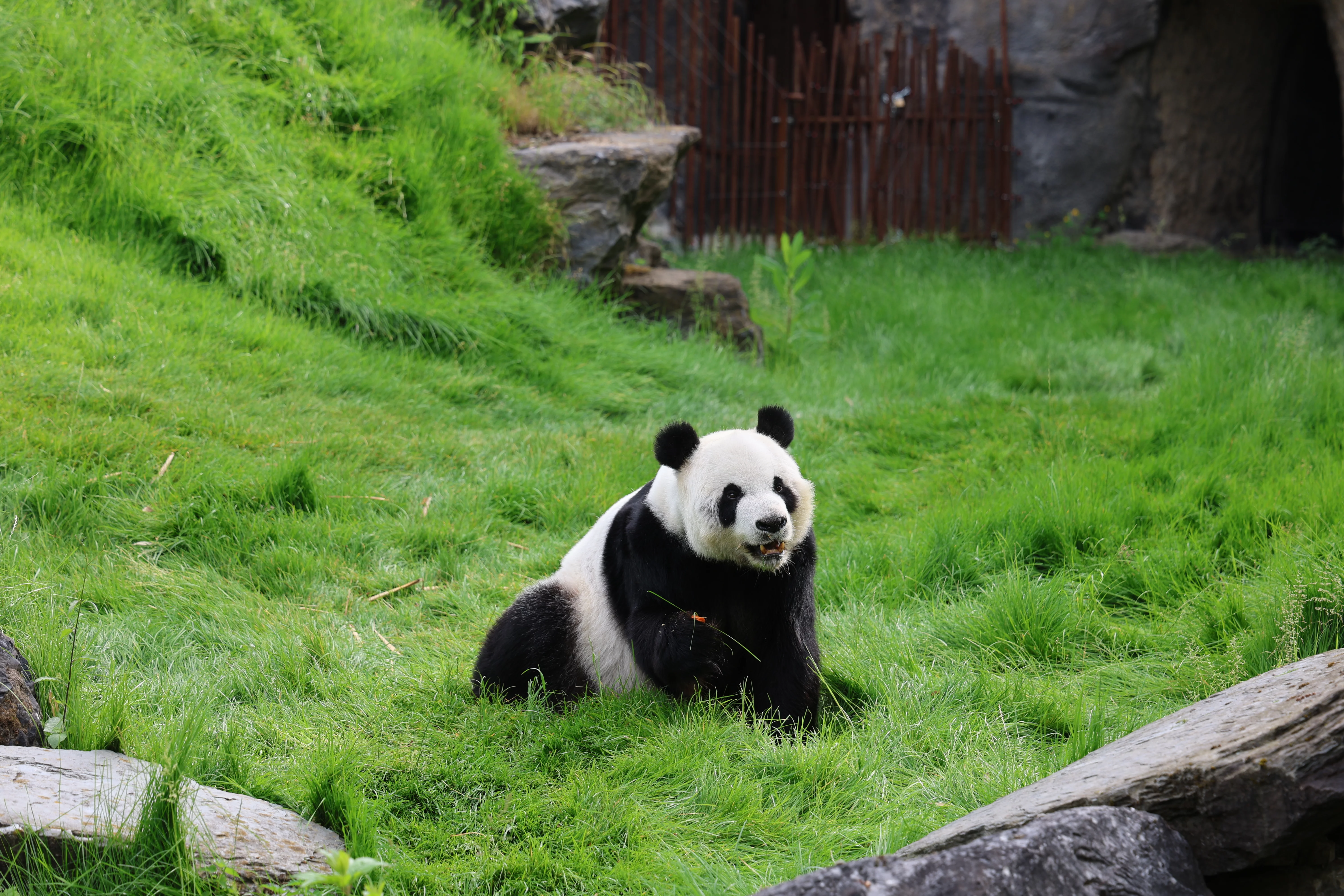 Pairi Daiza