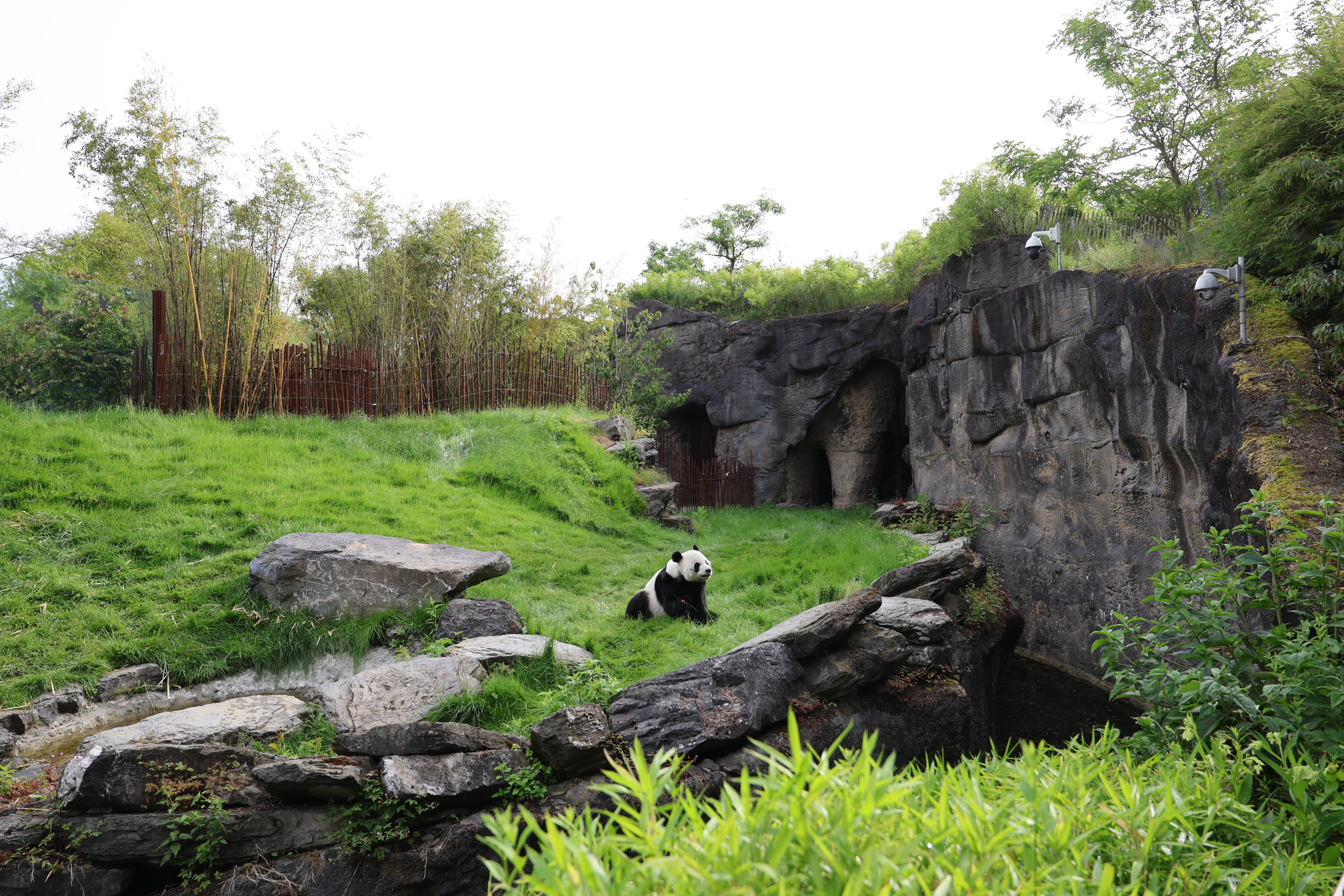 Pairi Daiza