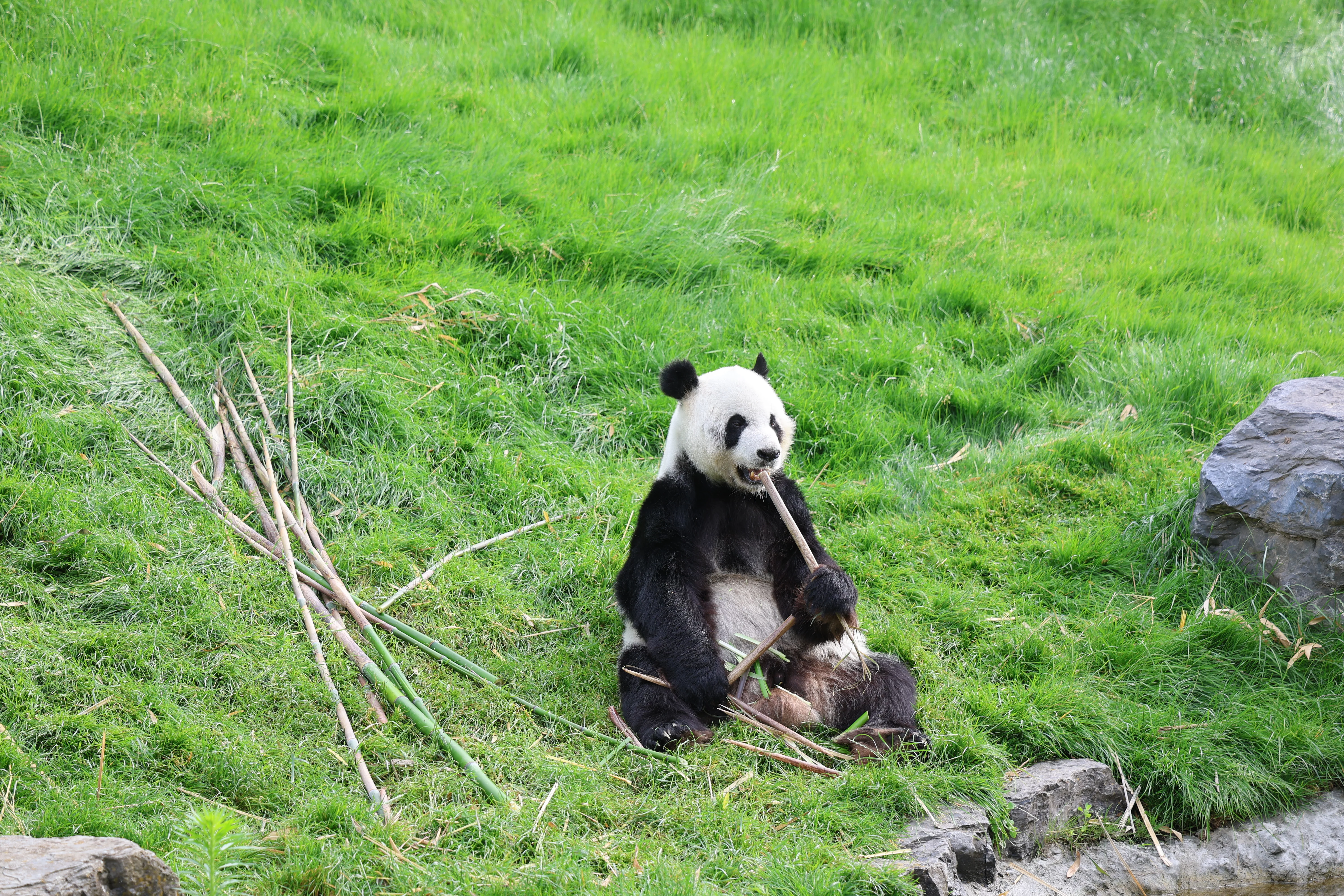 Pairi Daiza