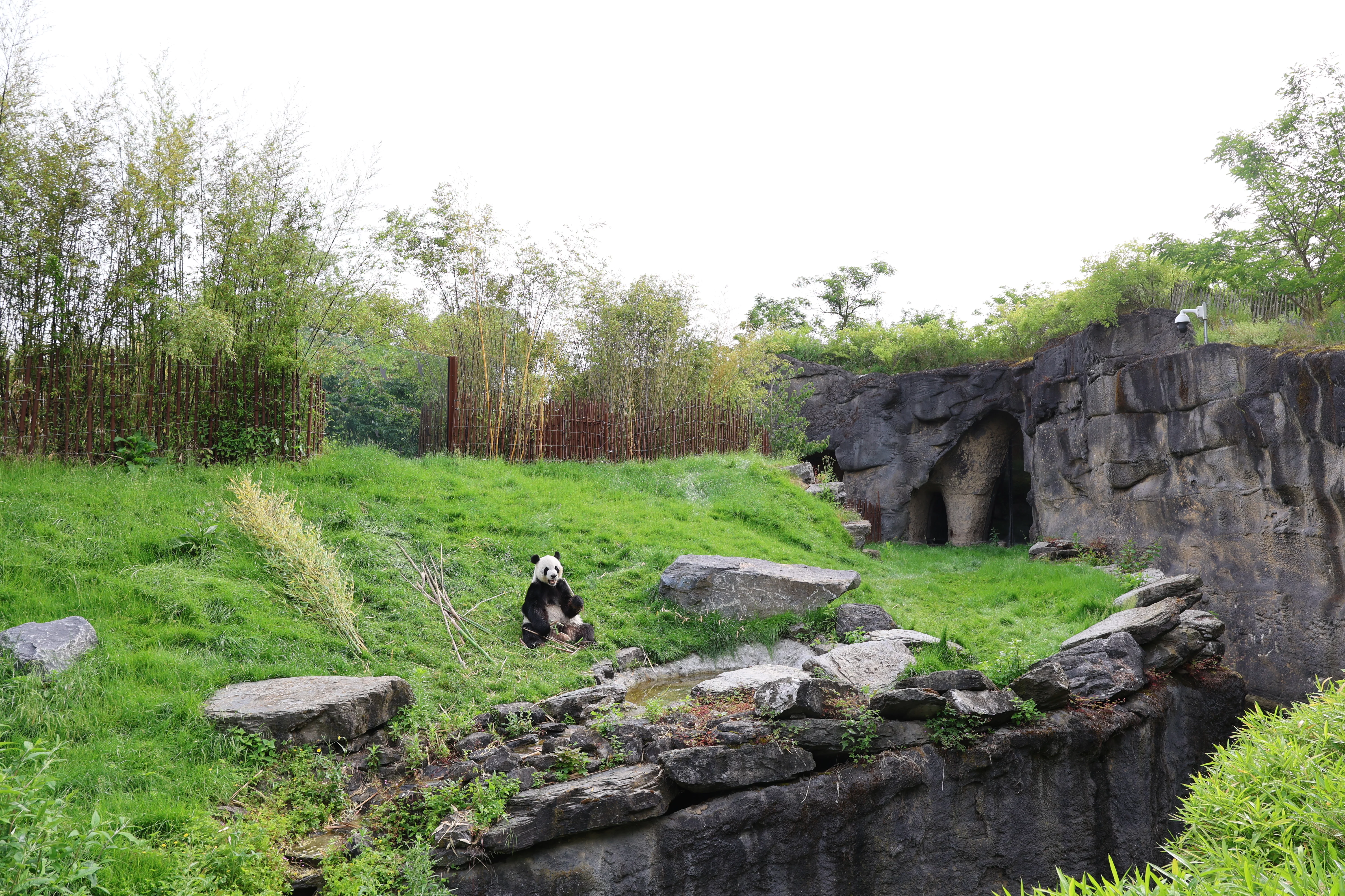 Pairi Daiza