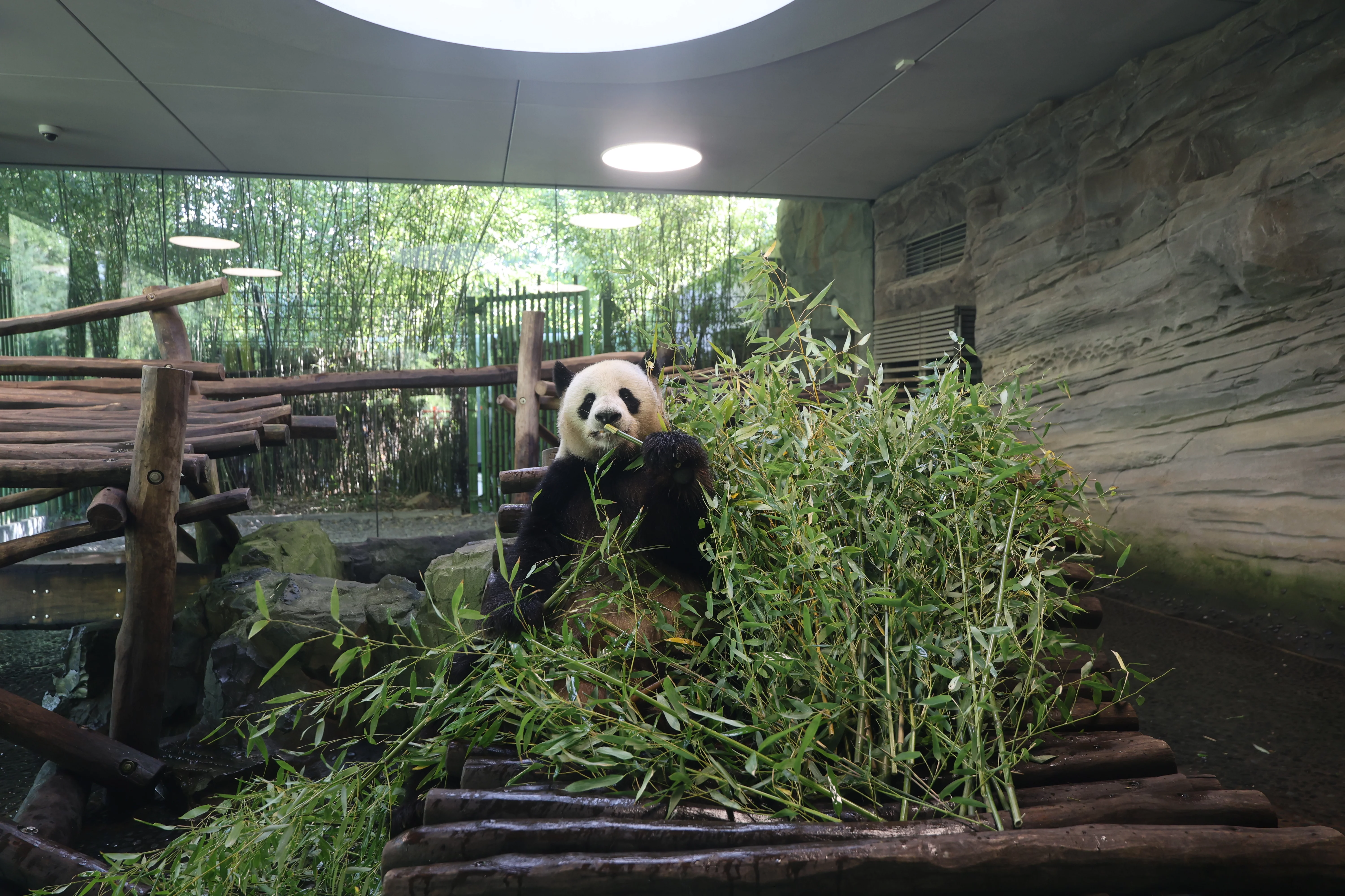 Zoo Berlin