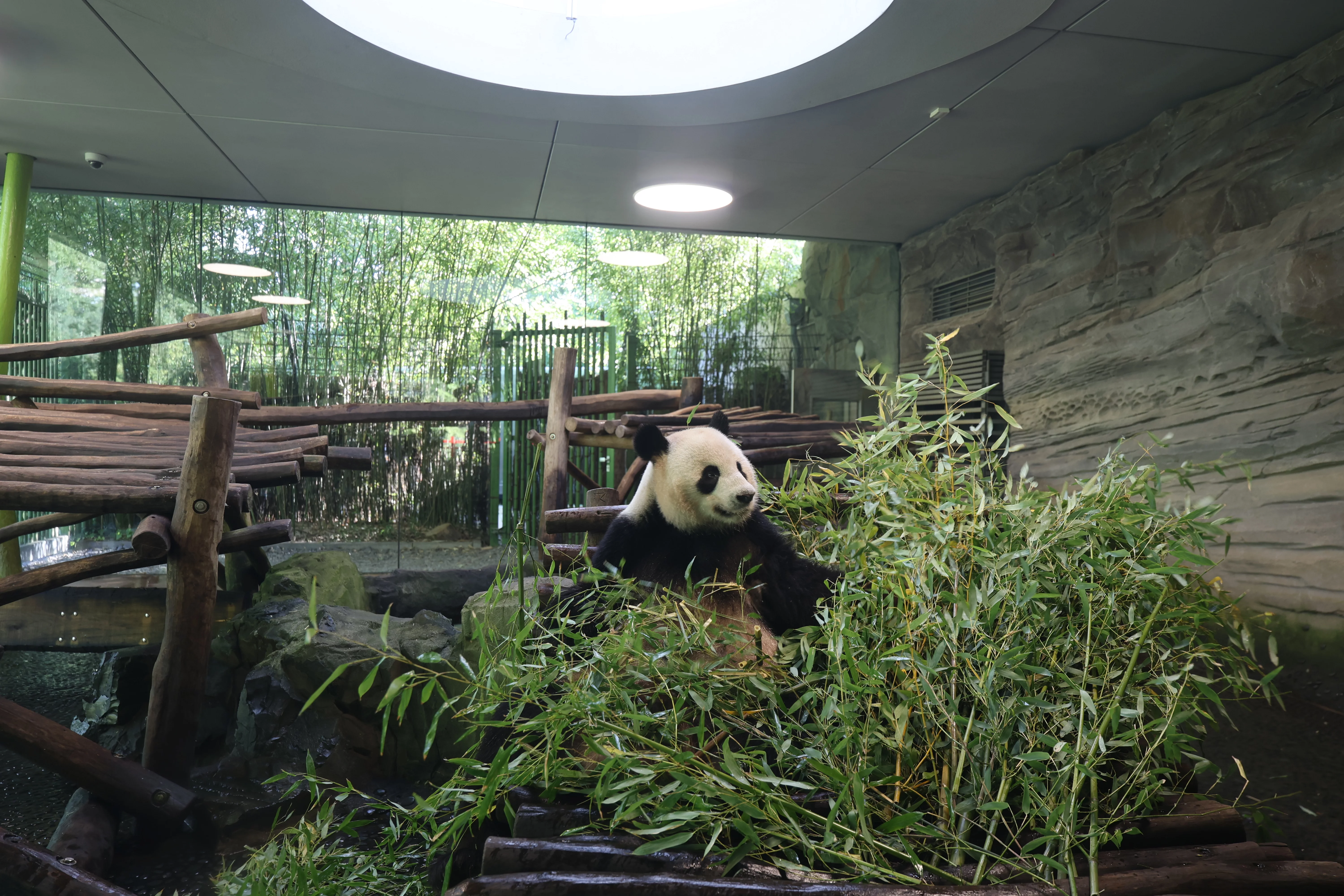 Zoo Berlin