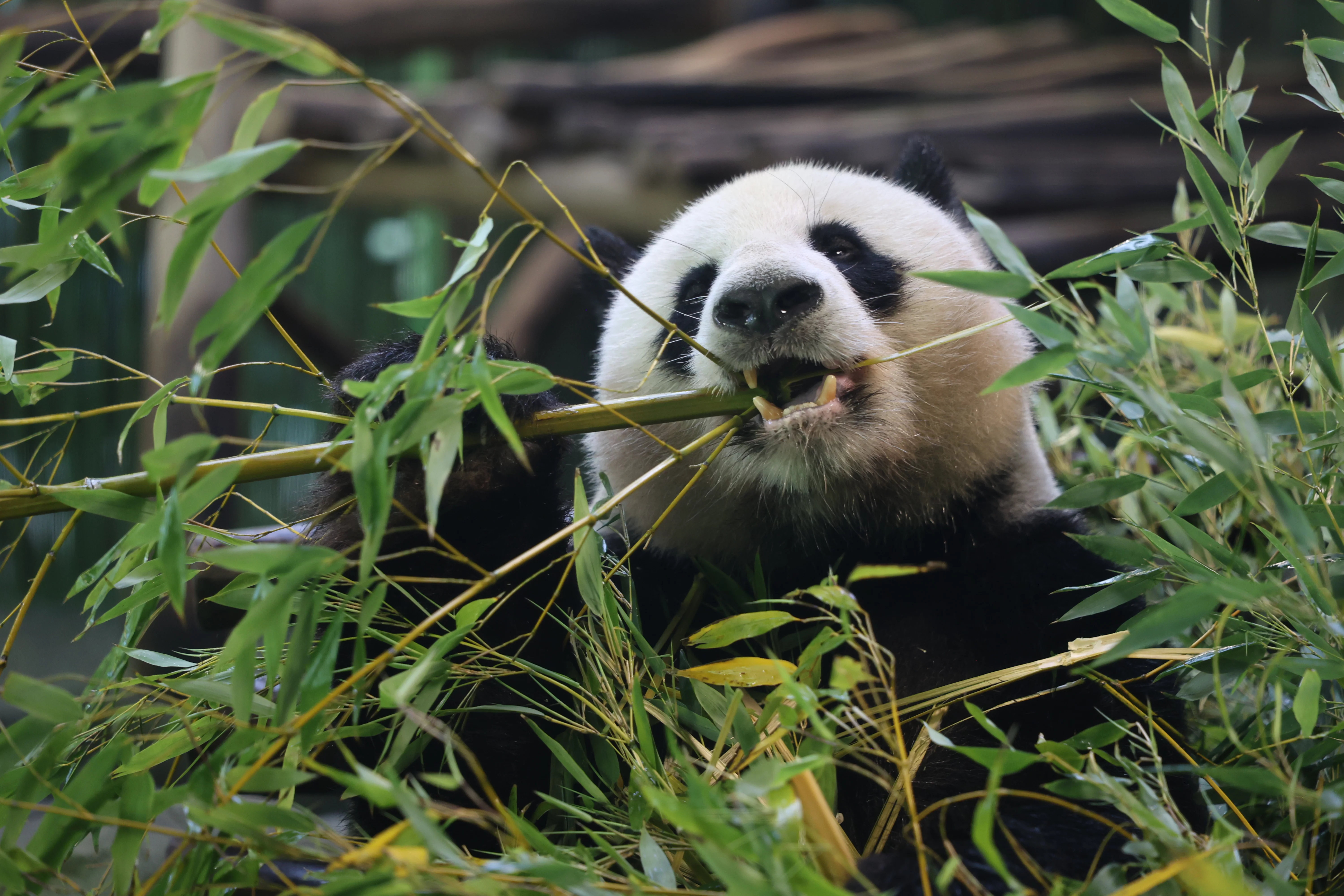 Zoo Berlin