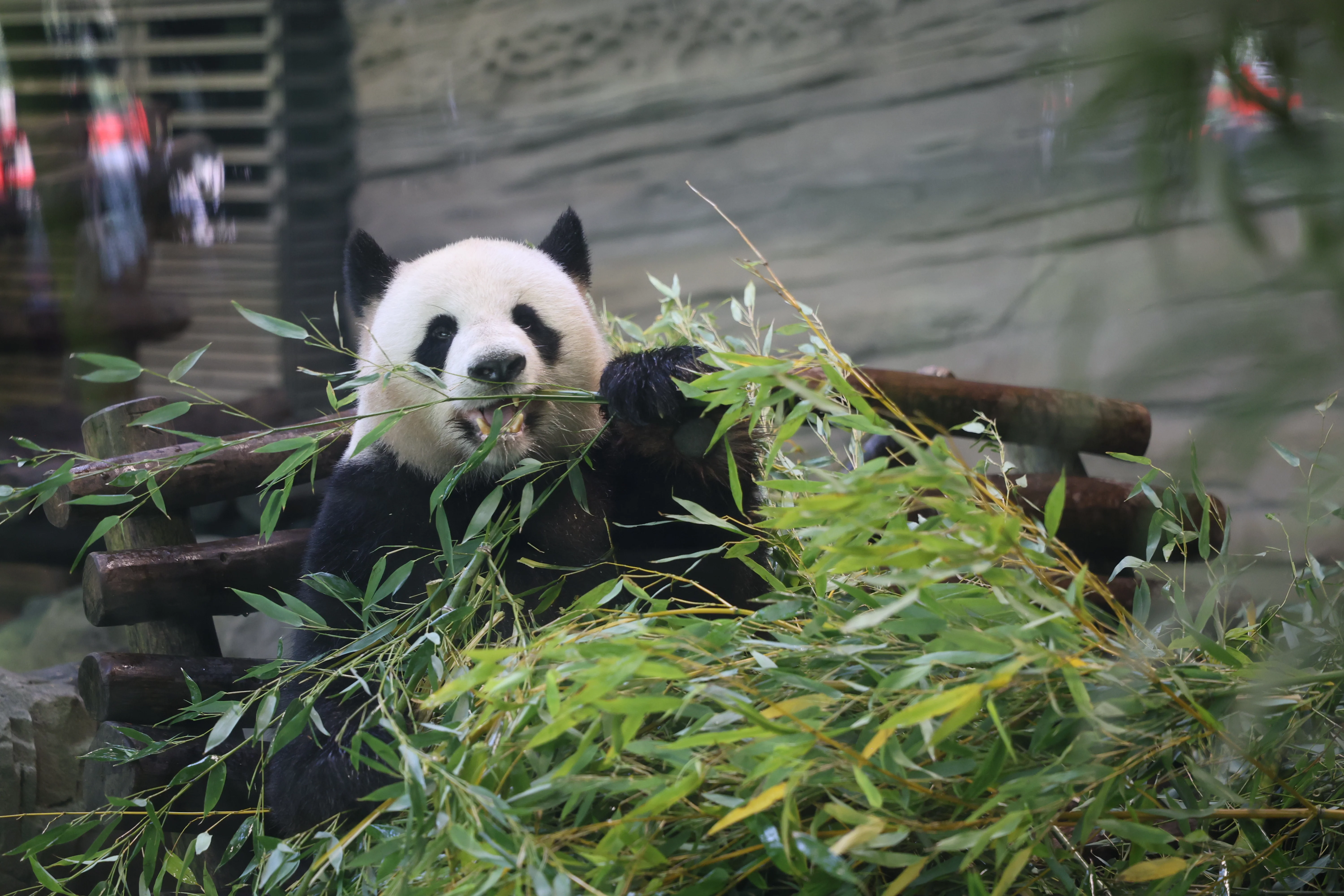 Zoo Berlin