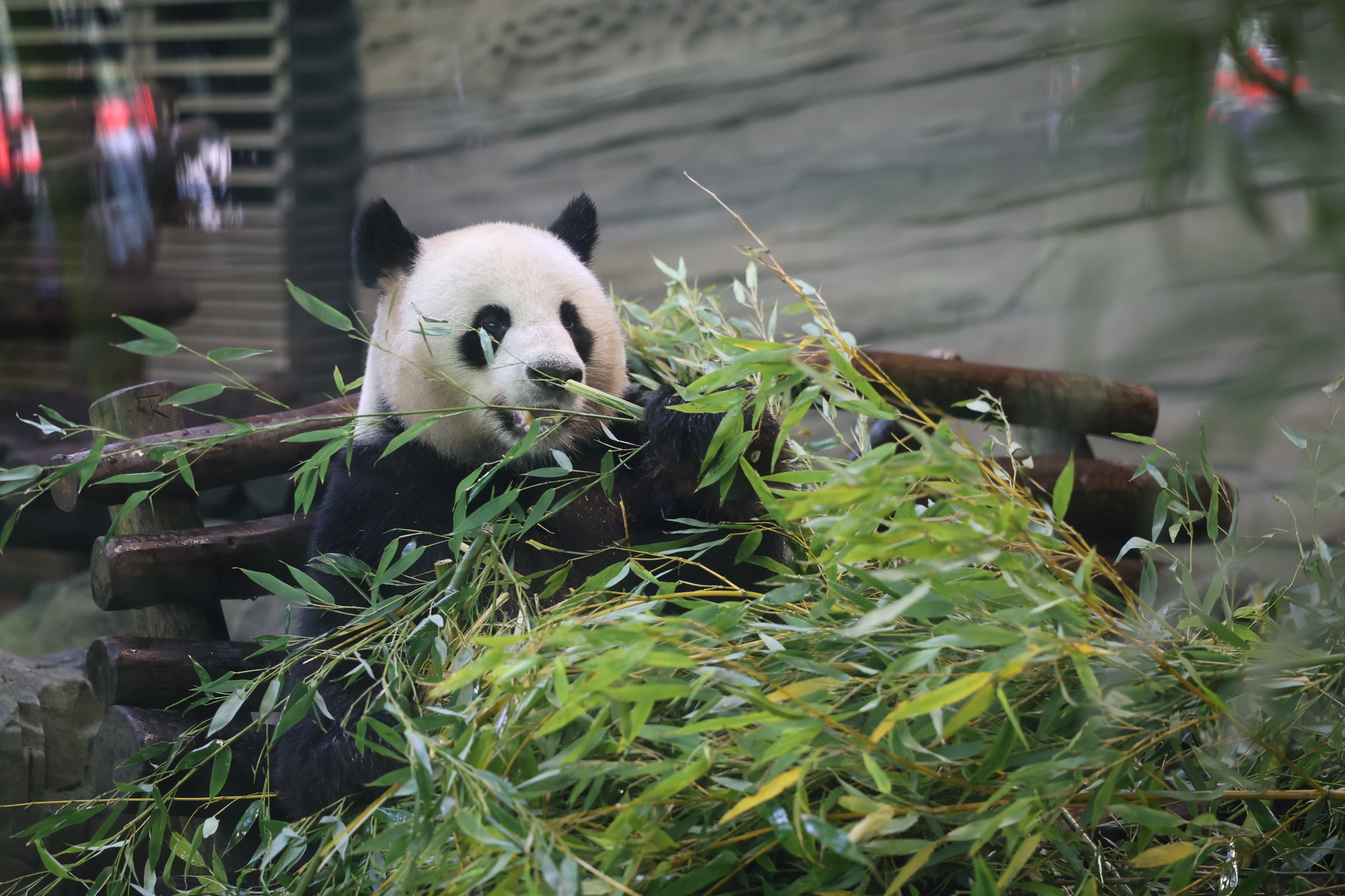 Zoo Berlin