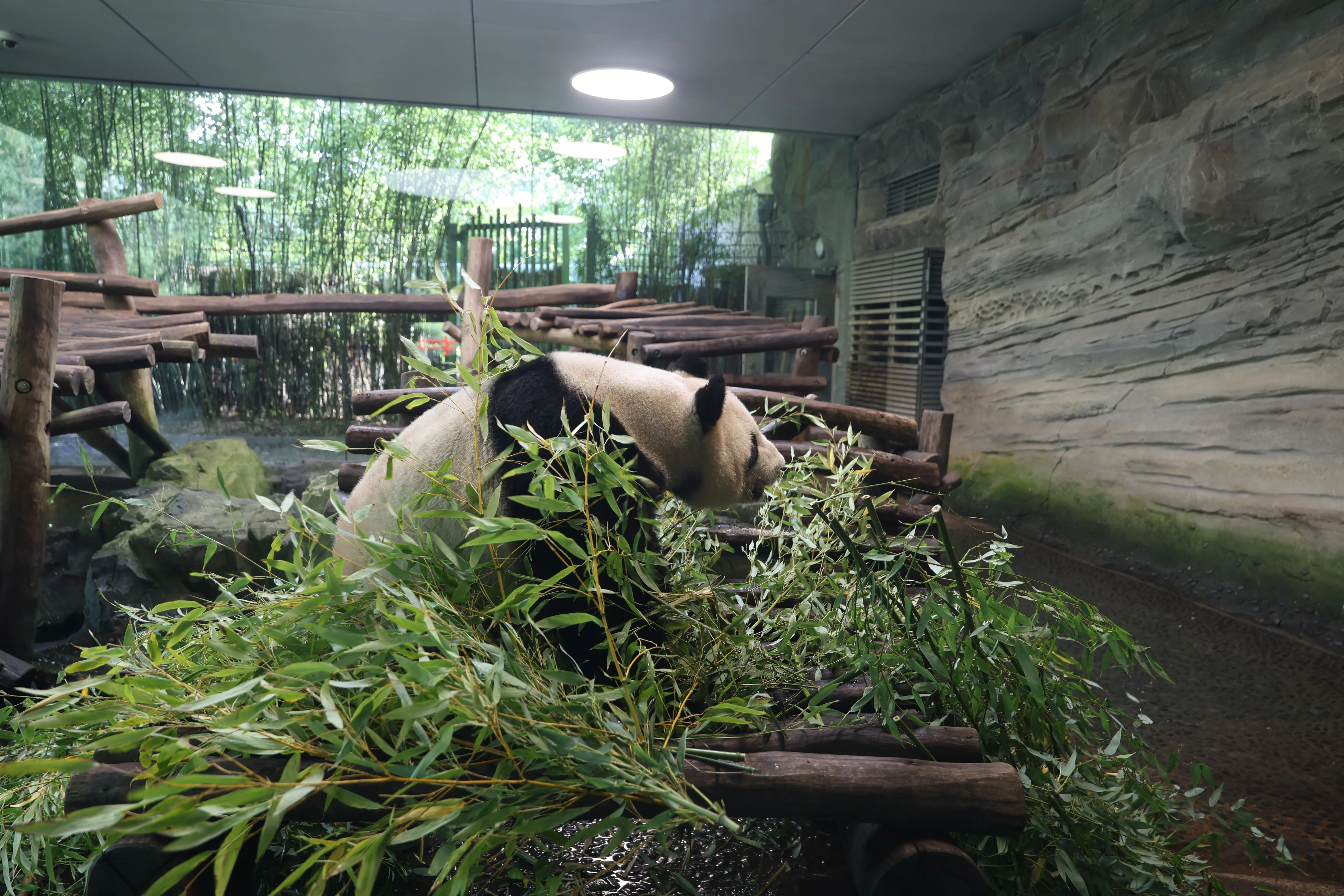Zoo Berlin