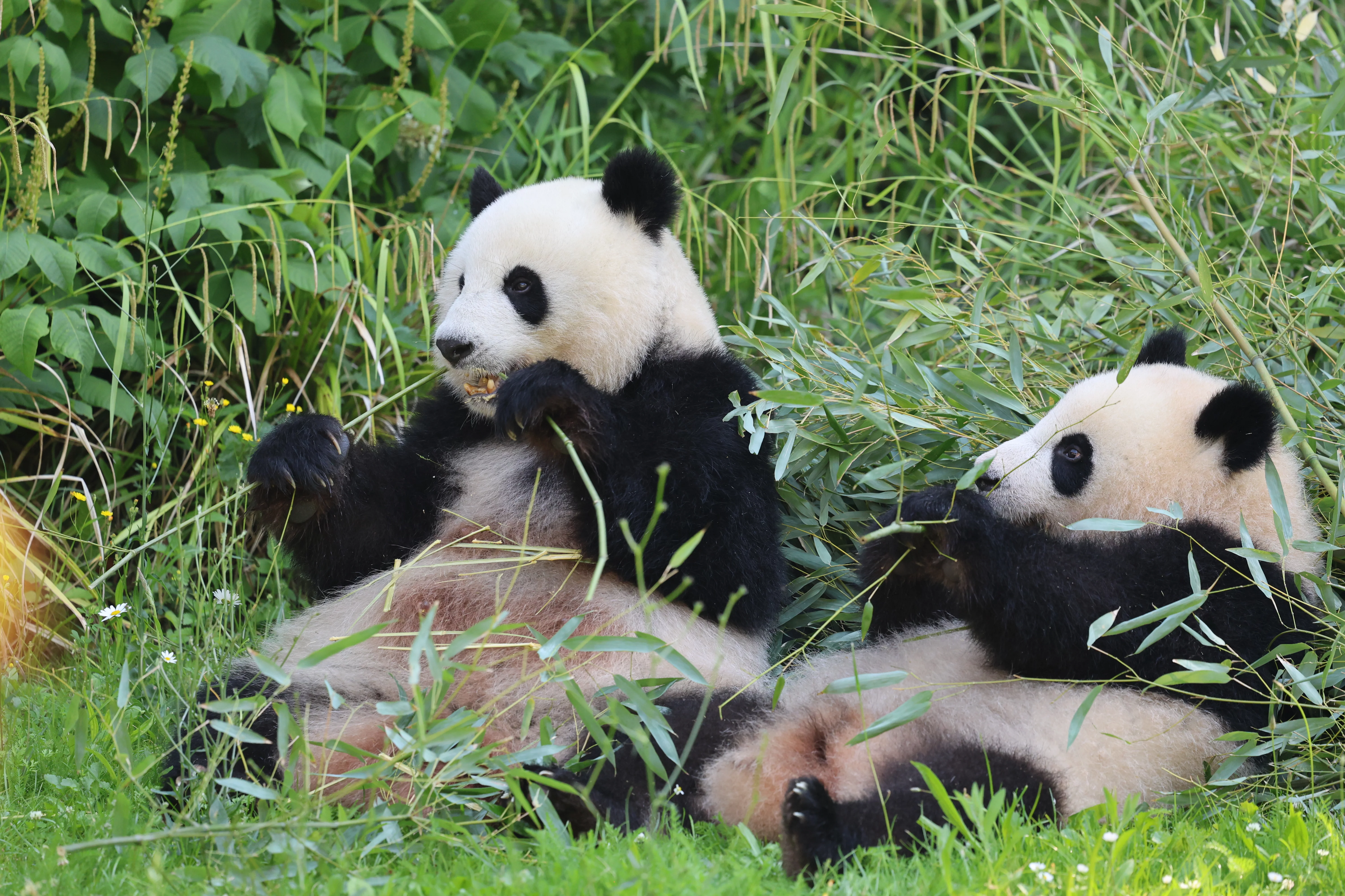 Zoo Berlin