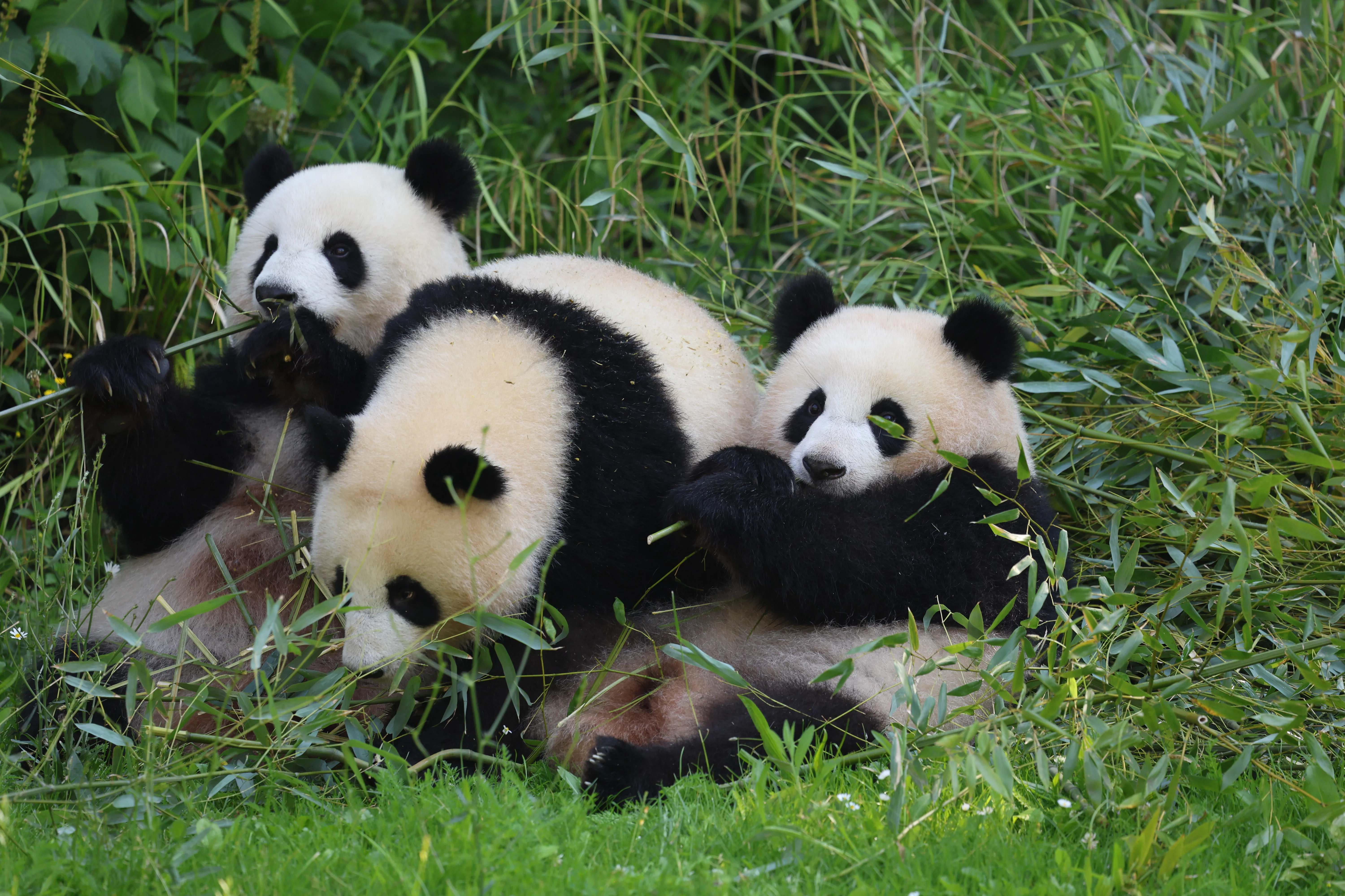 Zoo Berlin