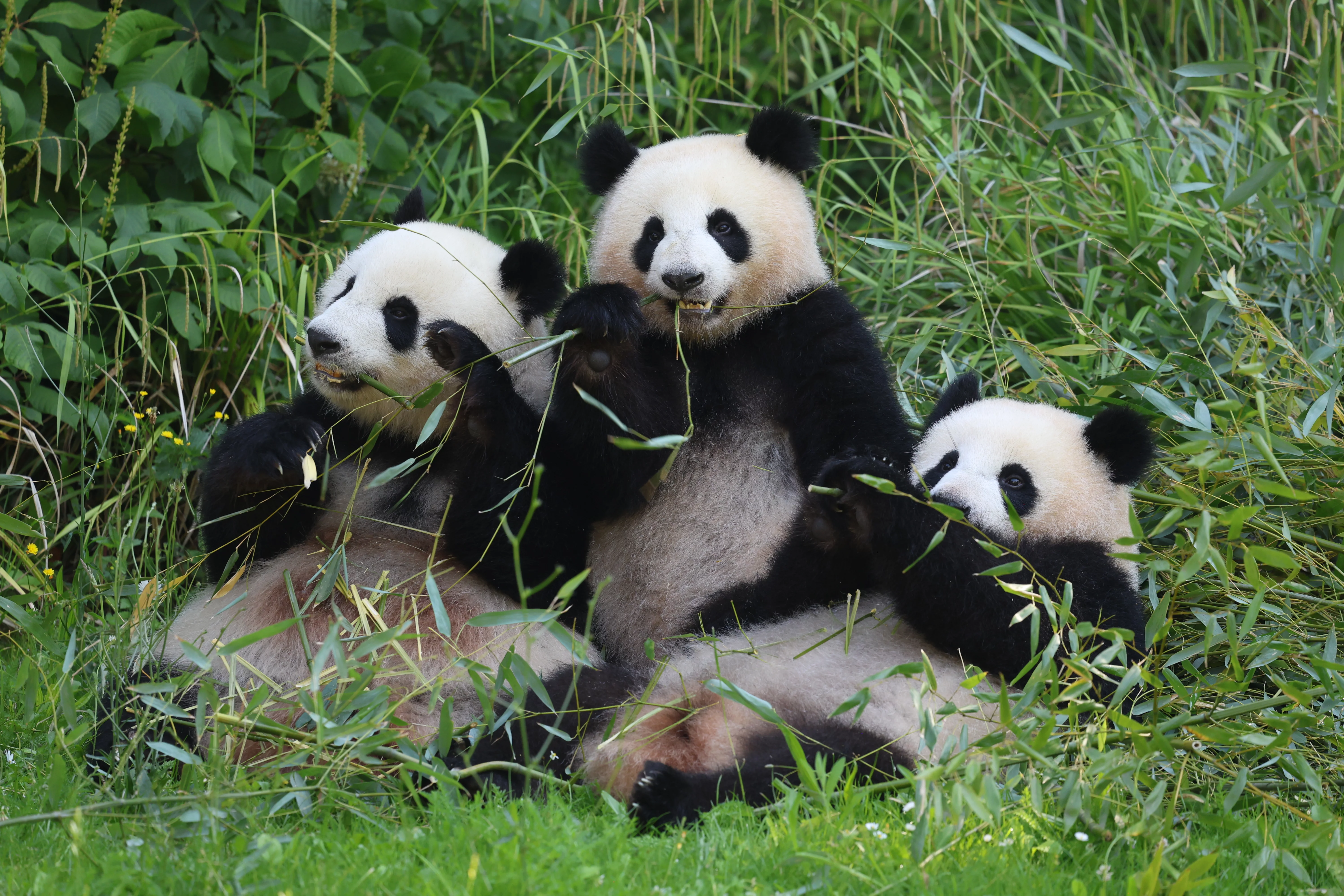 Zoo Berlin