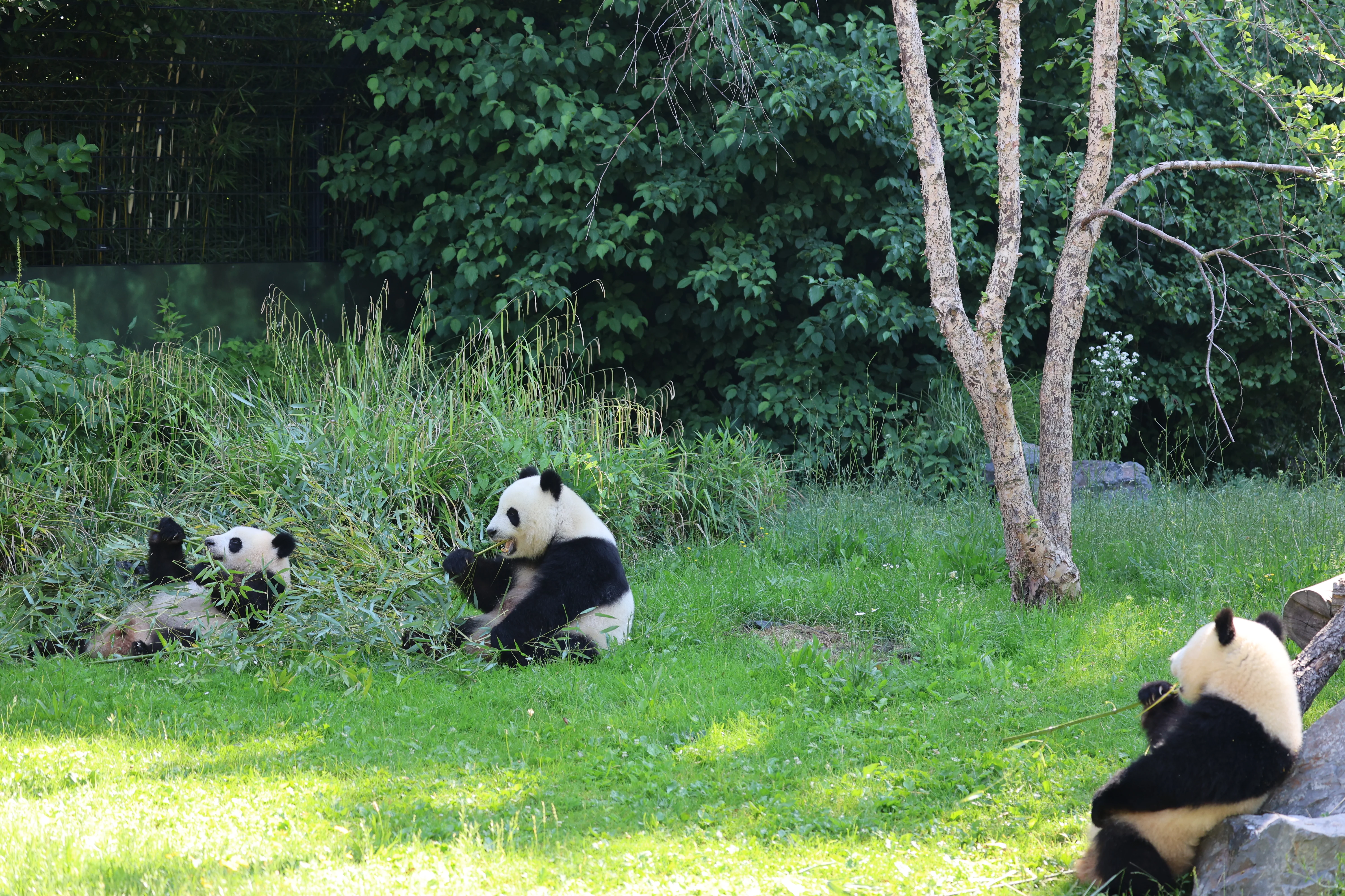 Zoo Berlin