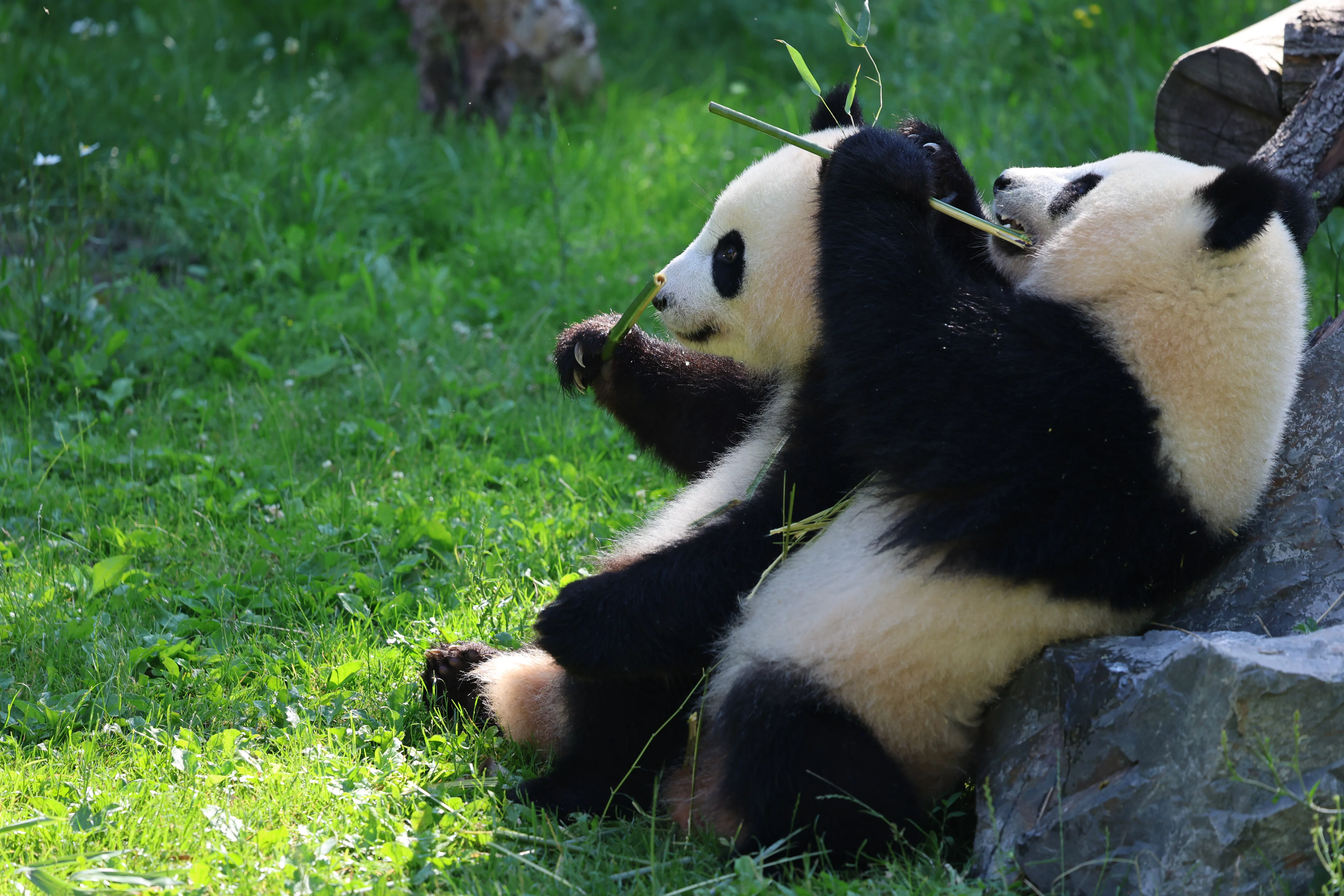 Zoo Berlin